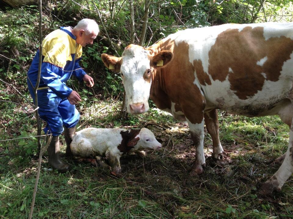 11427232_1007138379297725_1095867913096983842_n