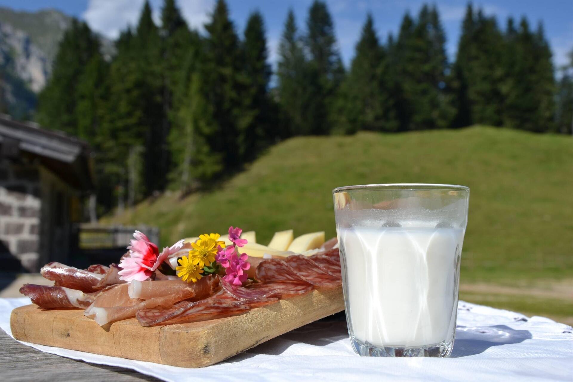 agritur-malga-fossetta-2