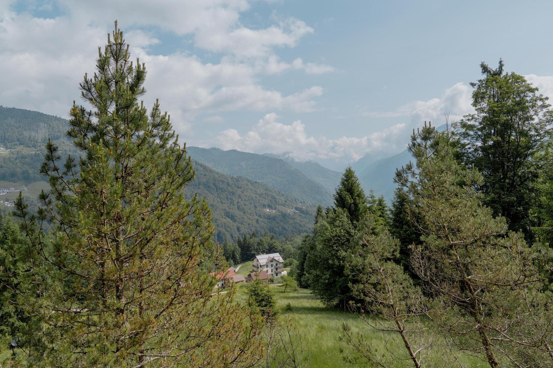 APT_Tognana Pierpaolo-6