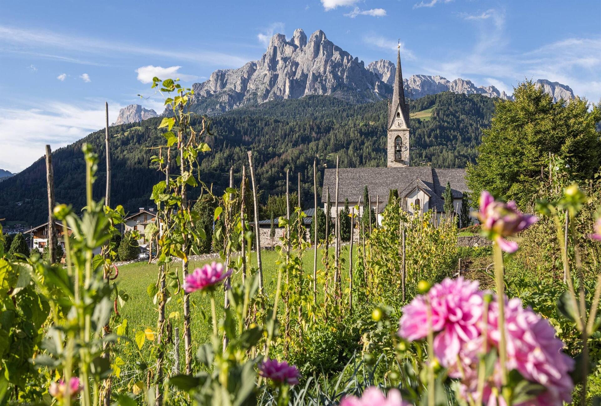 BETTEGA ROMANO - DELL'ANTONIA CHARME CHALET