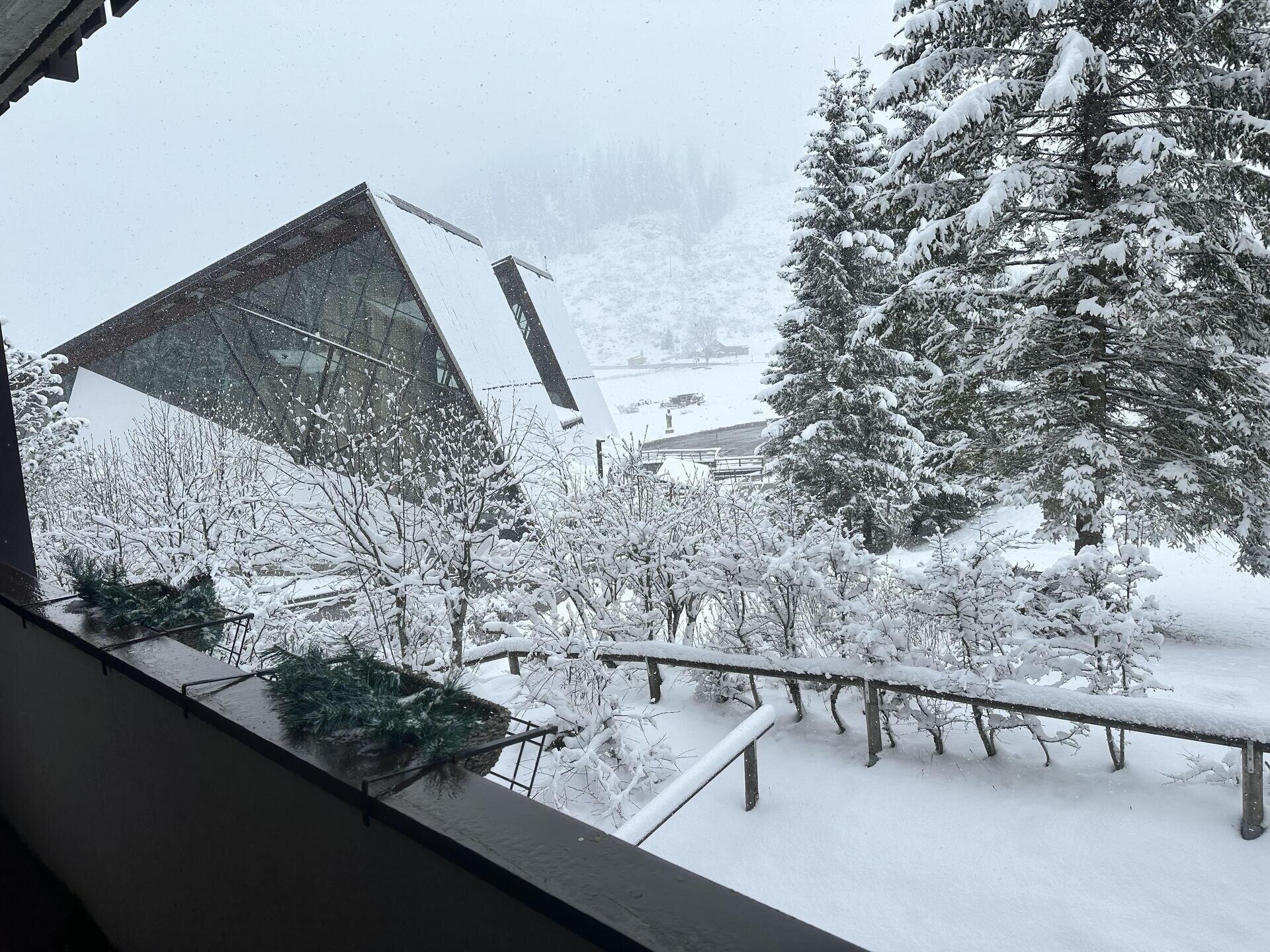 Foto appartamento  (49)