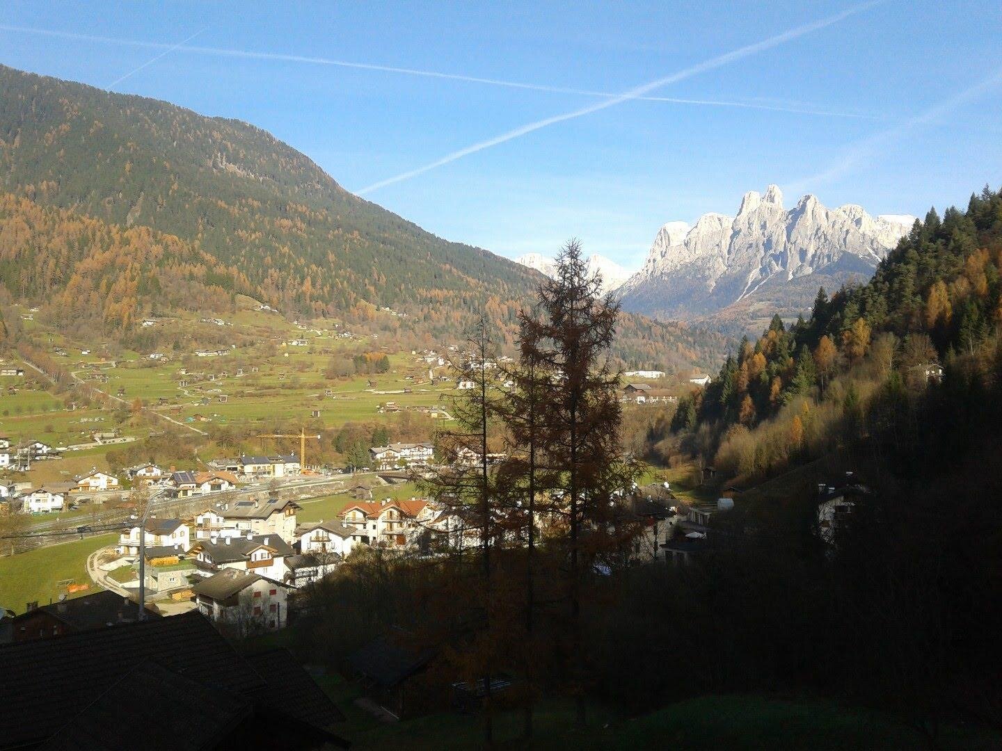 Images Trn 1 F07e88b7 C7e8 439a 9675 01bf2d1f0899 99 Image