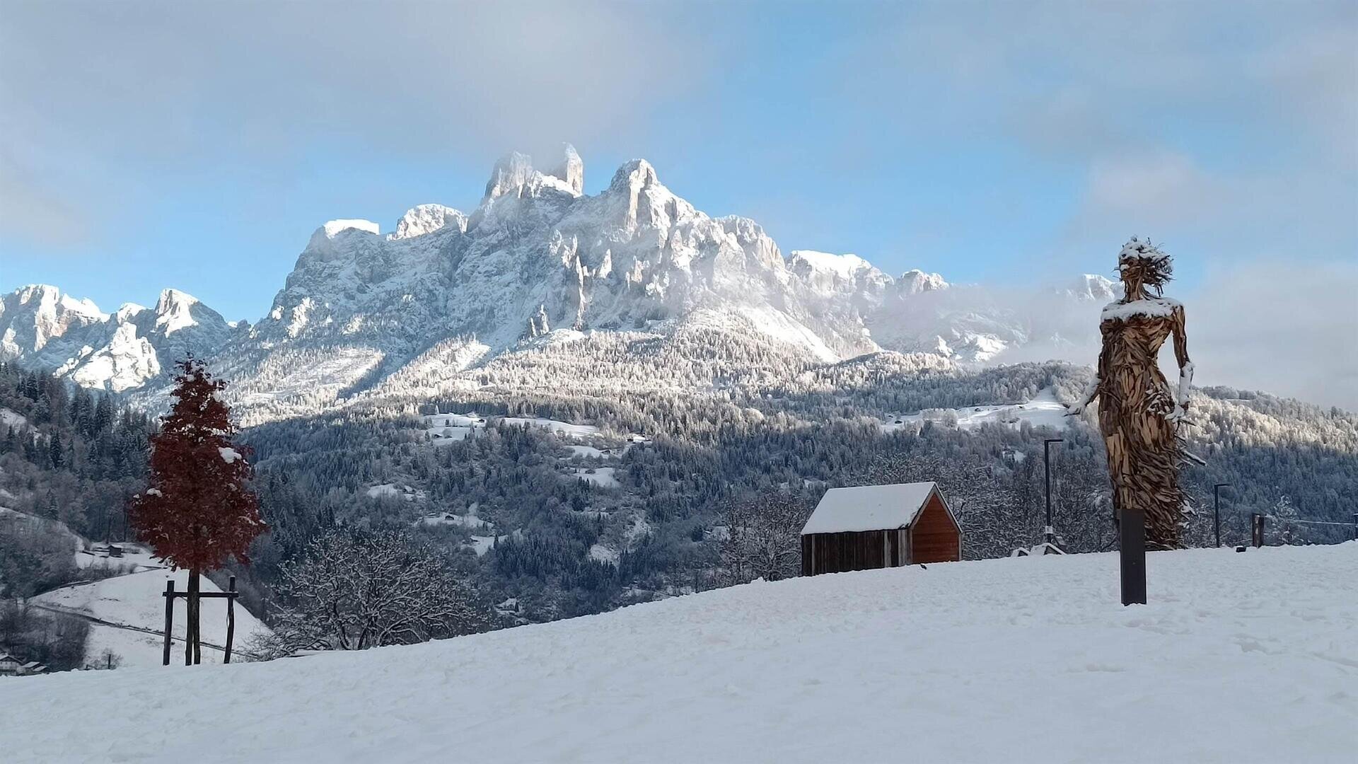 Images Trn 1 De2148a4 Acef 43d9 B11f 2c5b21877e09 99 Image