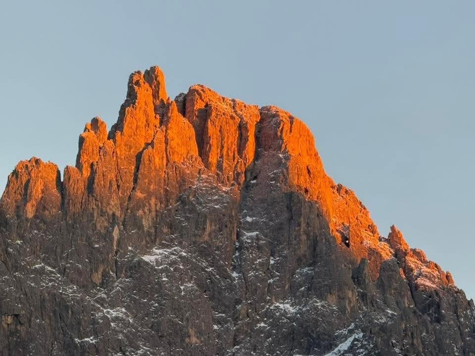 Images Trn 1 E6f80d67 9251 4c3a 8ba9 20df8f5a0154 99 Image