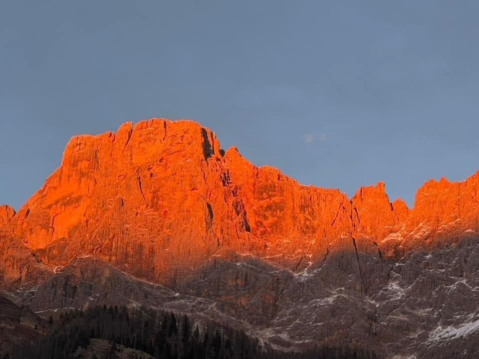 Images Trn 1 Ad63db17 D4c5 4f9b 800f C37cf702bb8a 99 Image