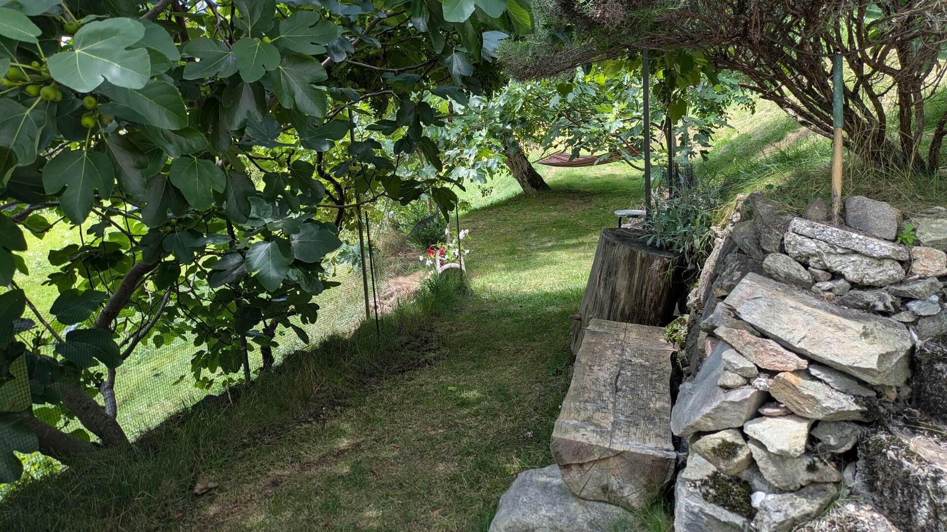 SCOPERTO