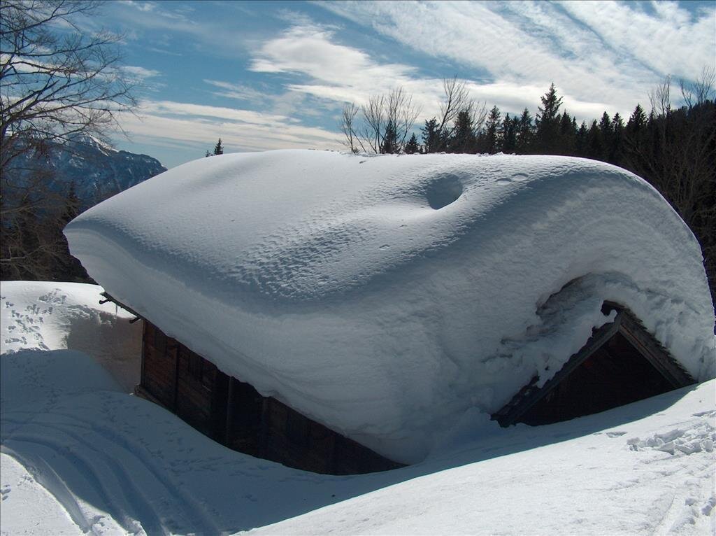Paesaggio  invernale