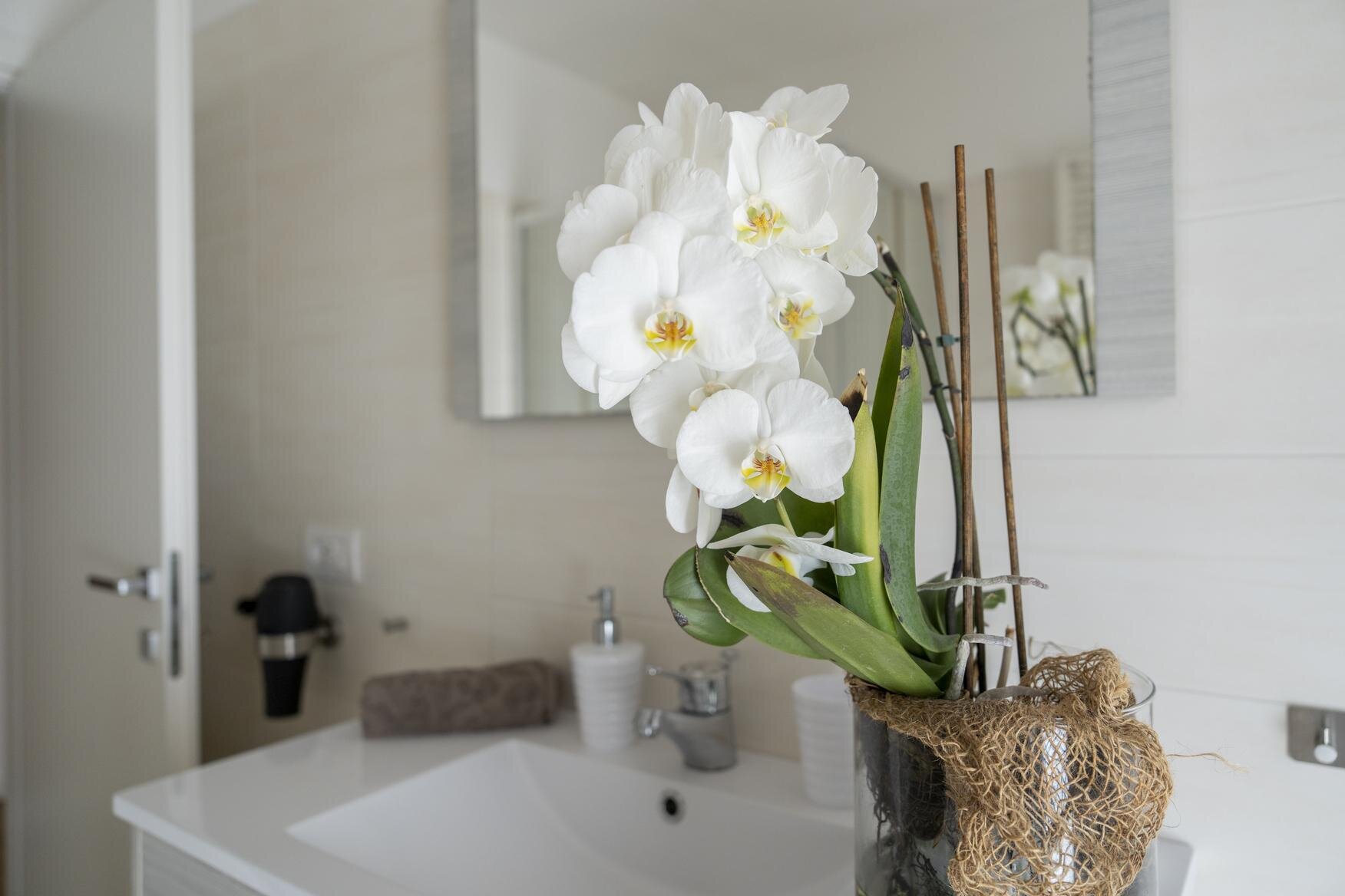 APT_Debertolis Giusy-29