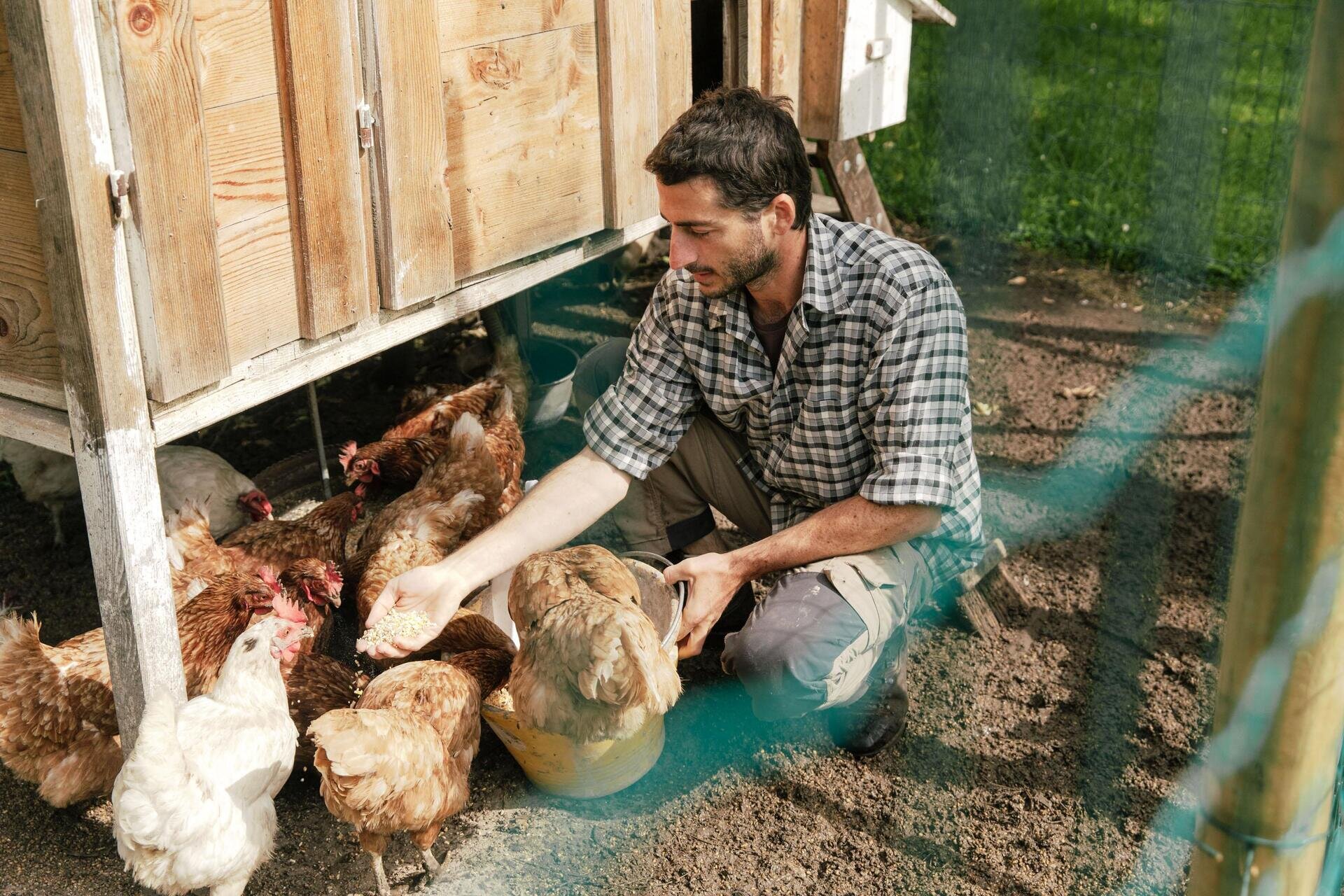 RobertoDePellegrin_280525_web-16