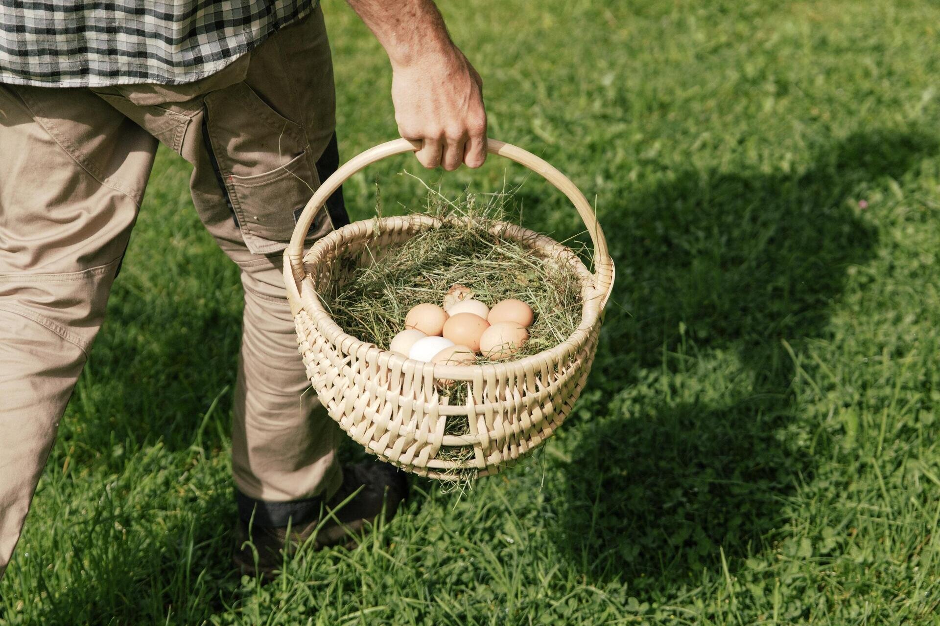 RobertoDePellegrin_280525_web-15