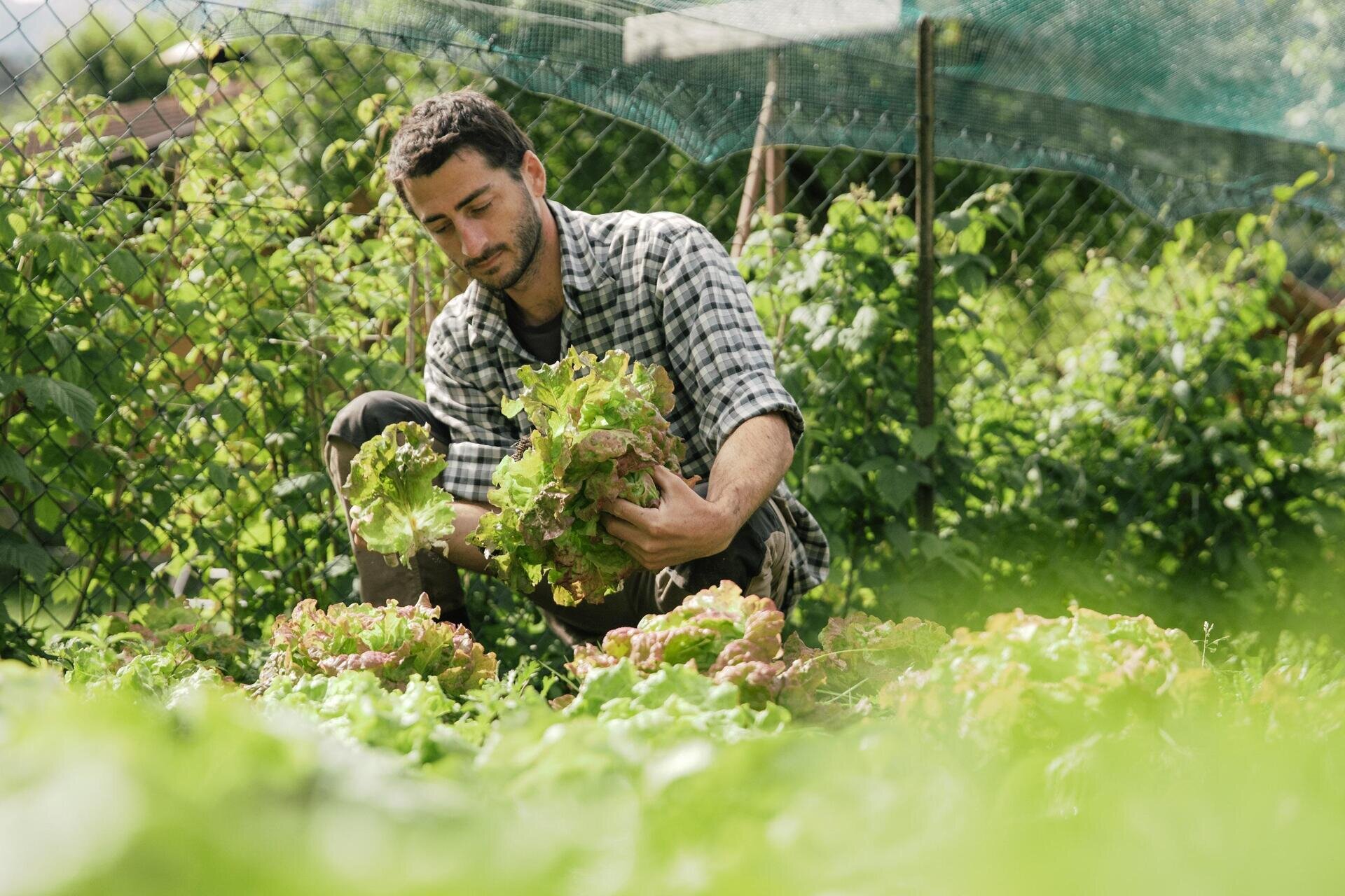 RobertoDePellegrin_280525_web-21