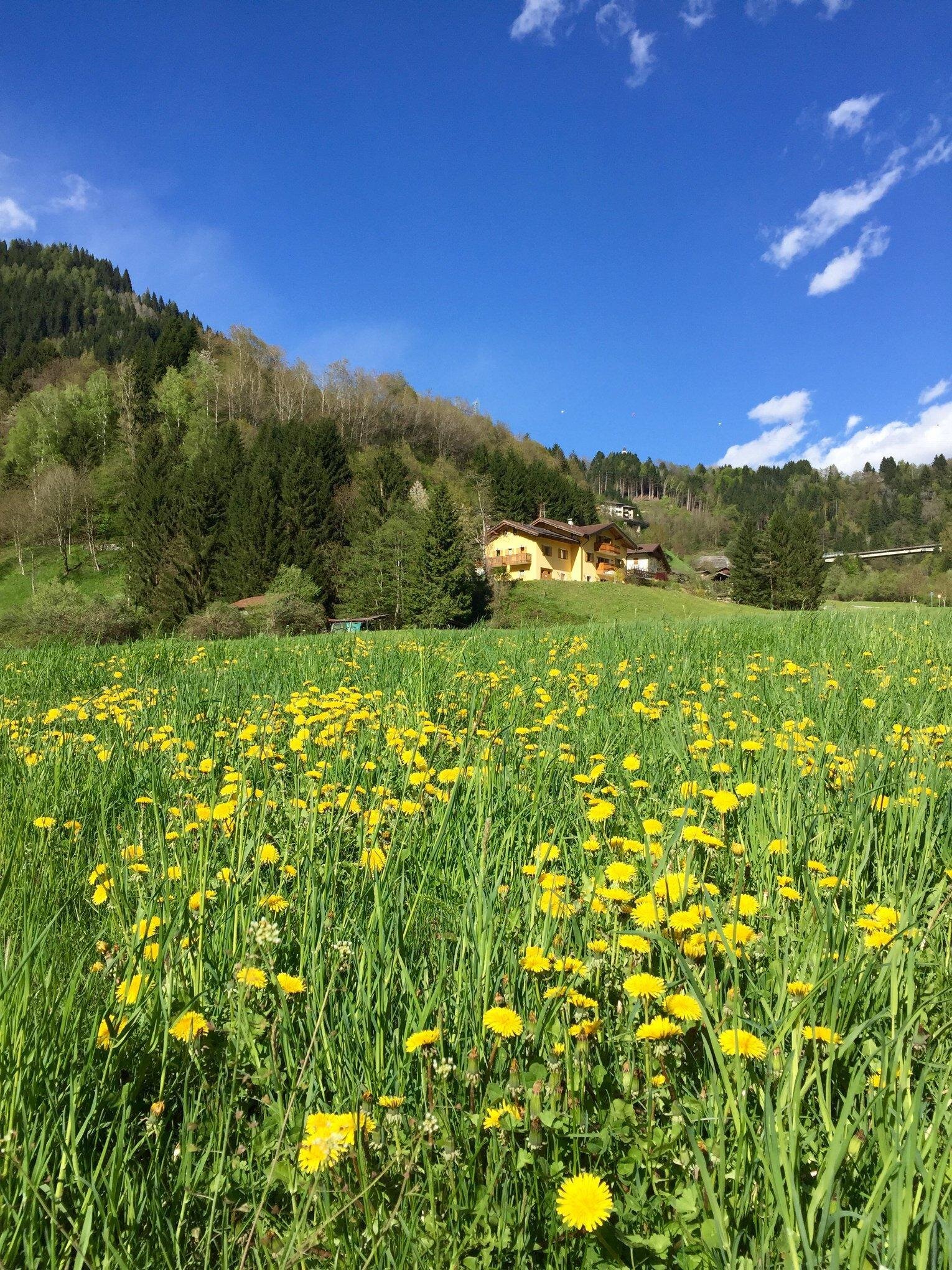 vacanza-b&b-trentino-dolomiti-primiero-san-martino