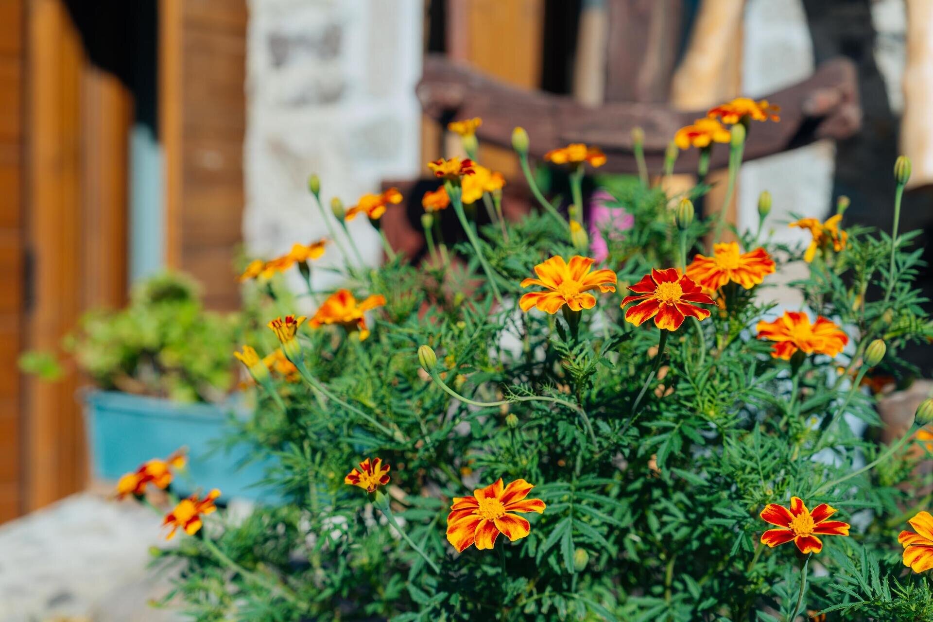 APT_FontanaAdriano_Alta-13