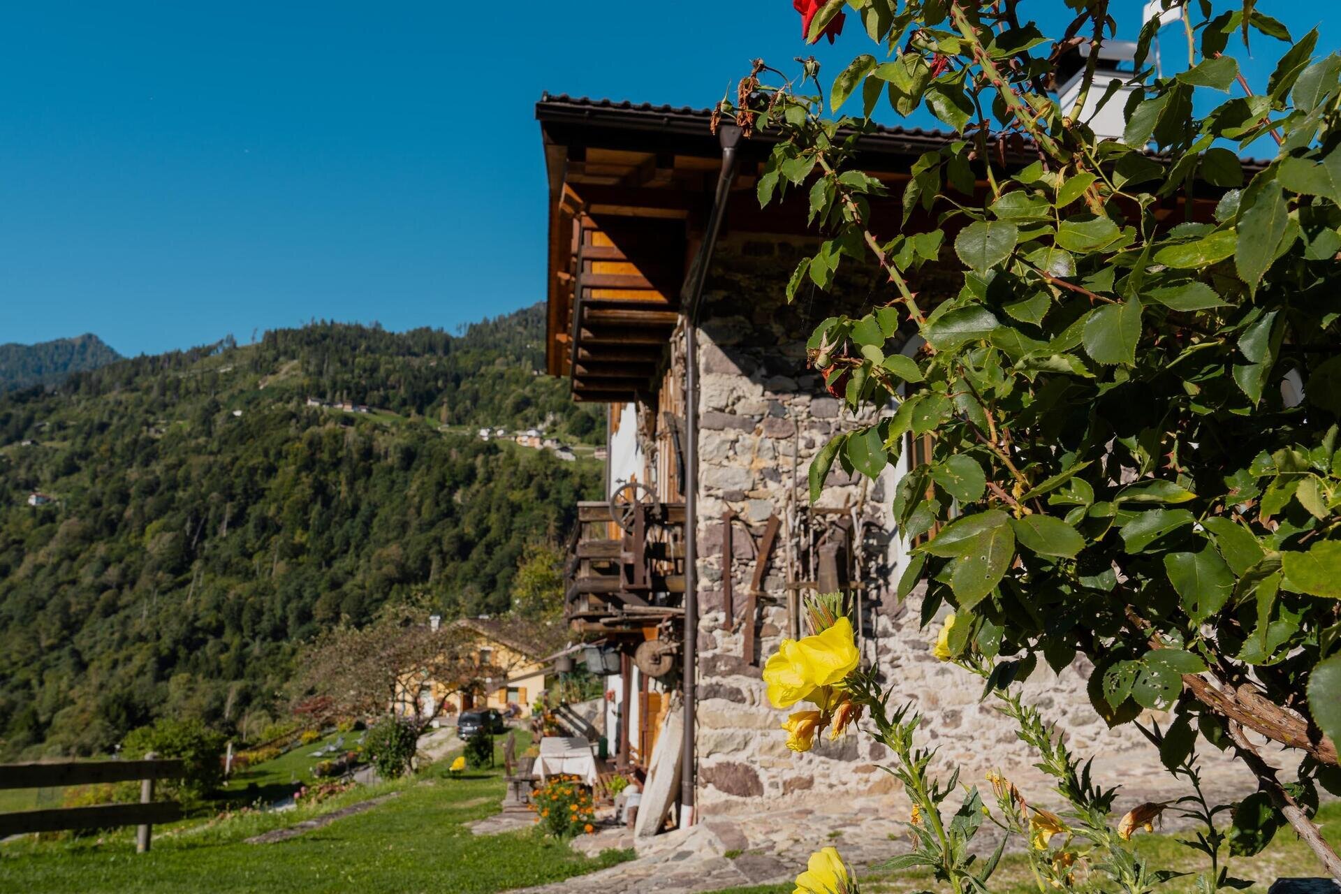 APT_FontanaAdriano_Alta-5