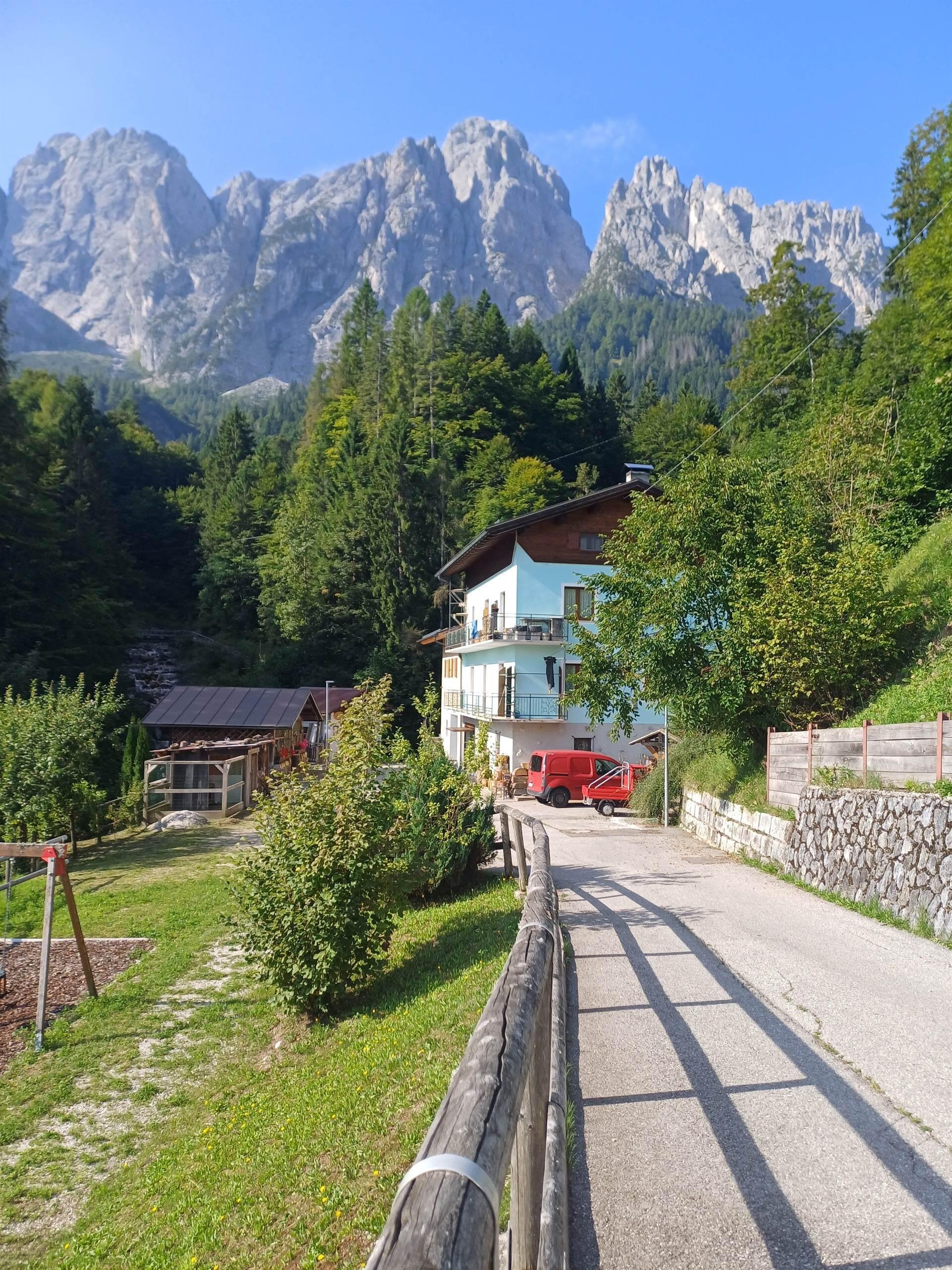 Images Trn 1 04ca468a 331a 4240 98a1 3760587384ad 99 Image