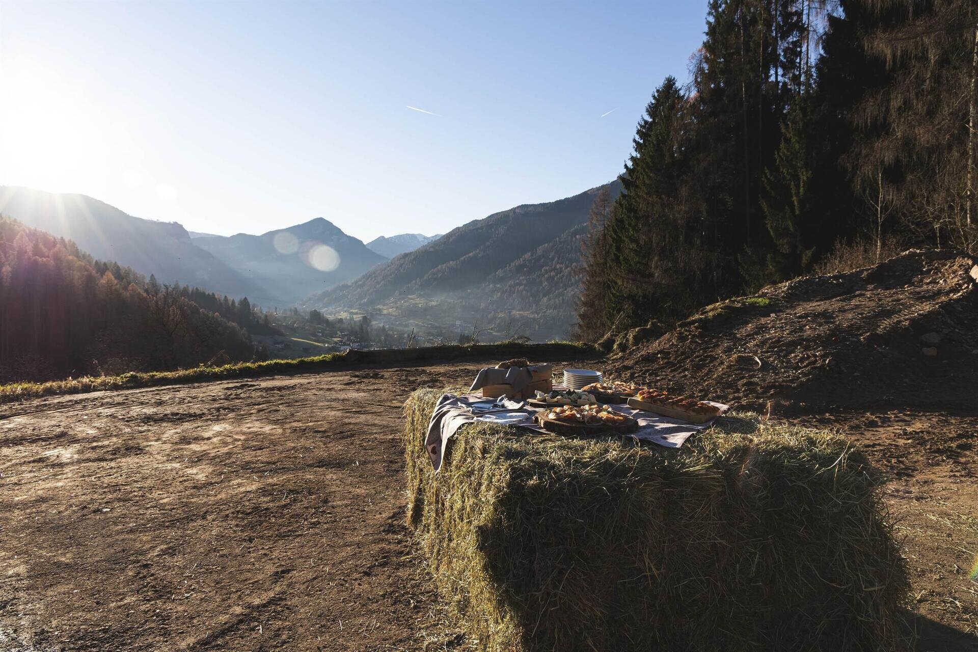 Images Trn 1 834ec80a 5d57 4287 99be Dfc3ccd6e4c1 99 Image