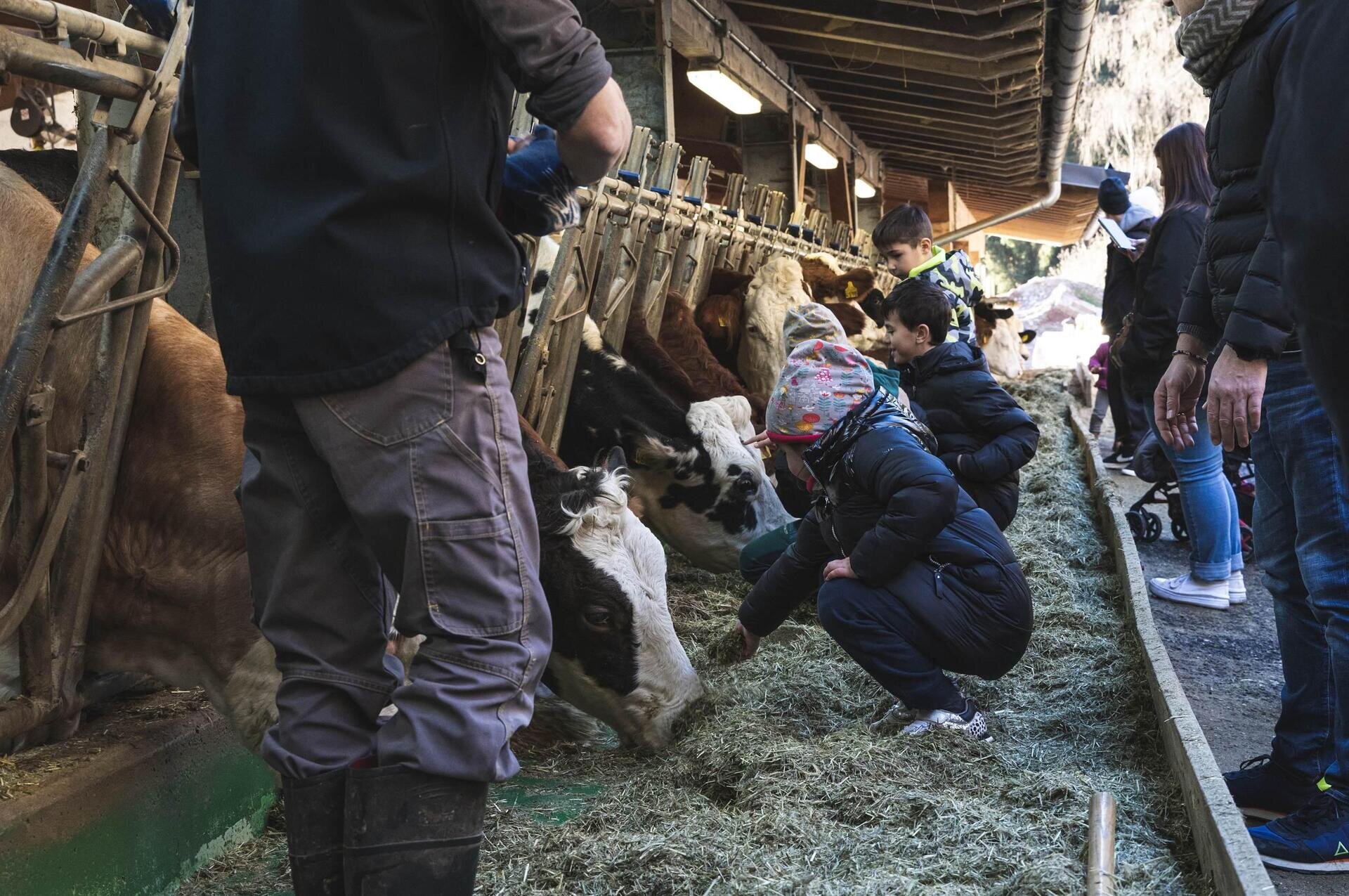 Images Trn 1 354d6149 4cb7 408e Ab42 3e2dcca7f283 99 Image