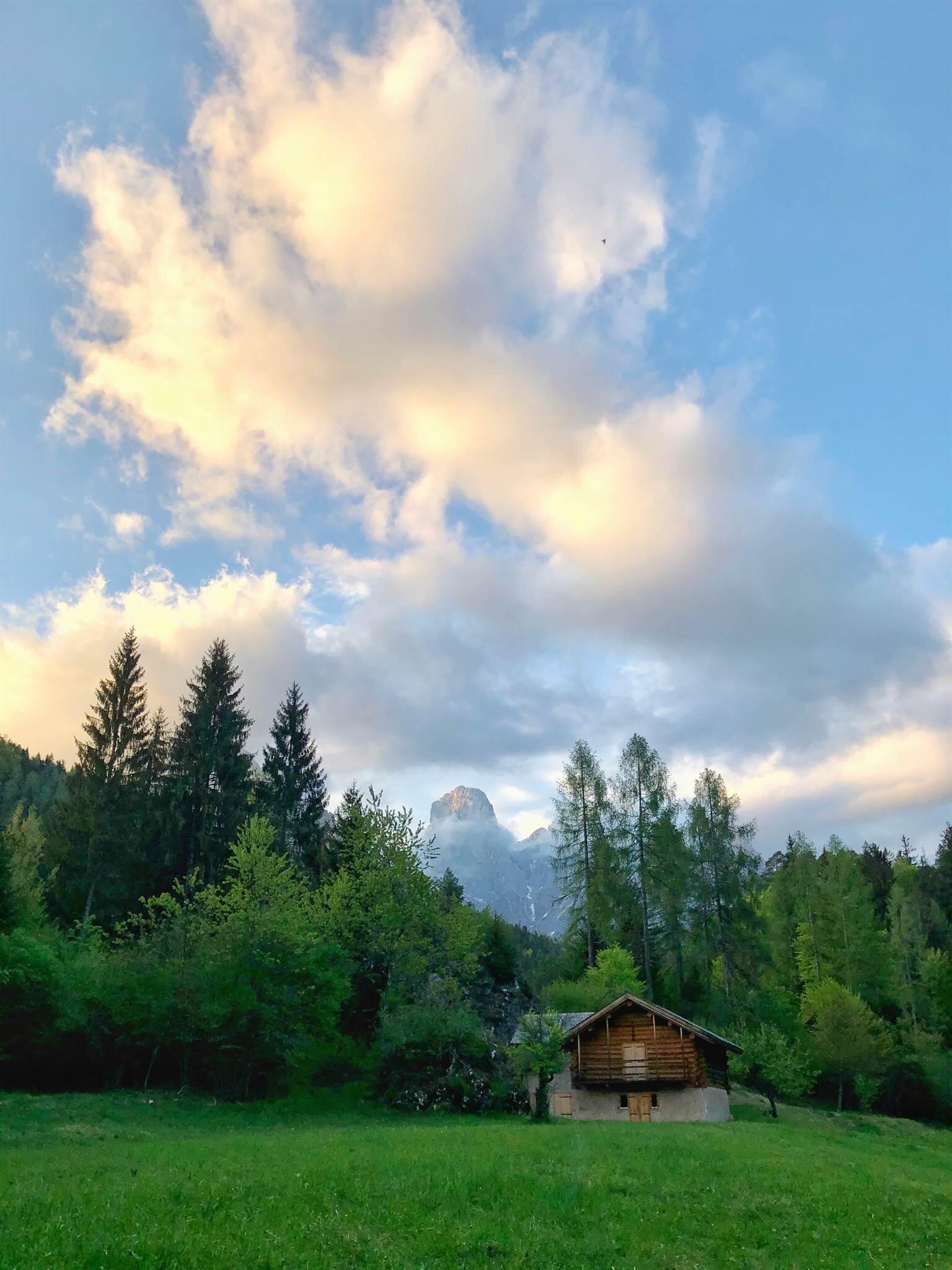 Val Canali Trentino Dolomiti Hotel Mirabello