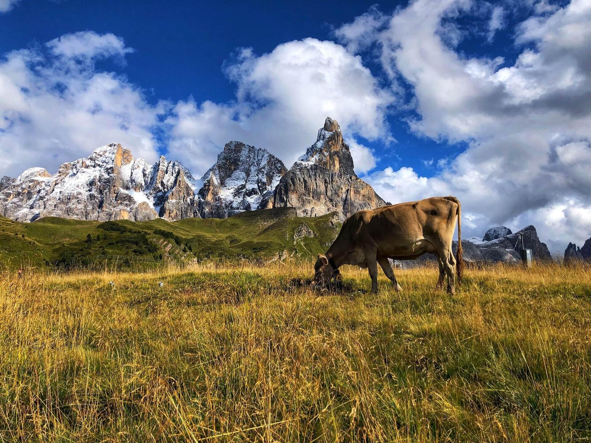 Escursione Passo Rolle Trentino Dolomiti Hotel Mir