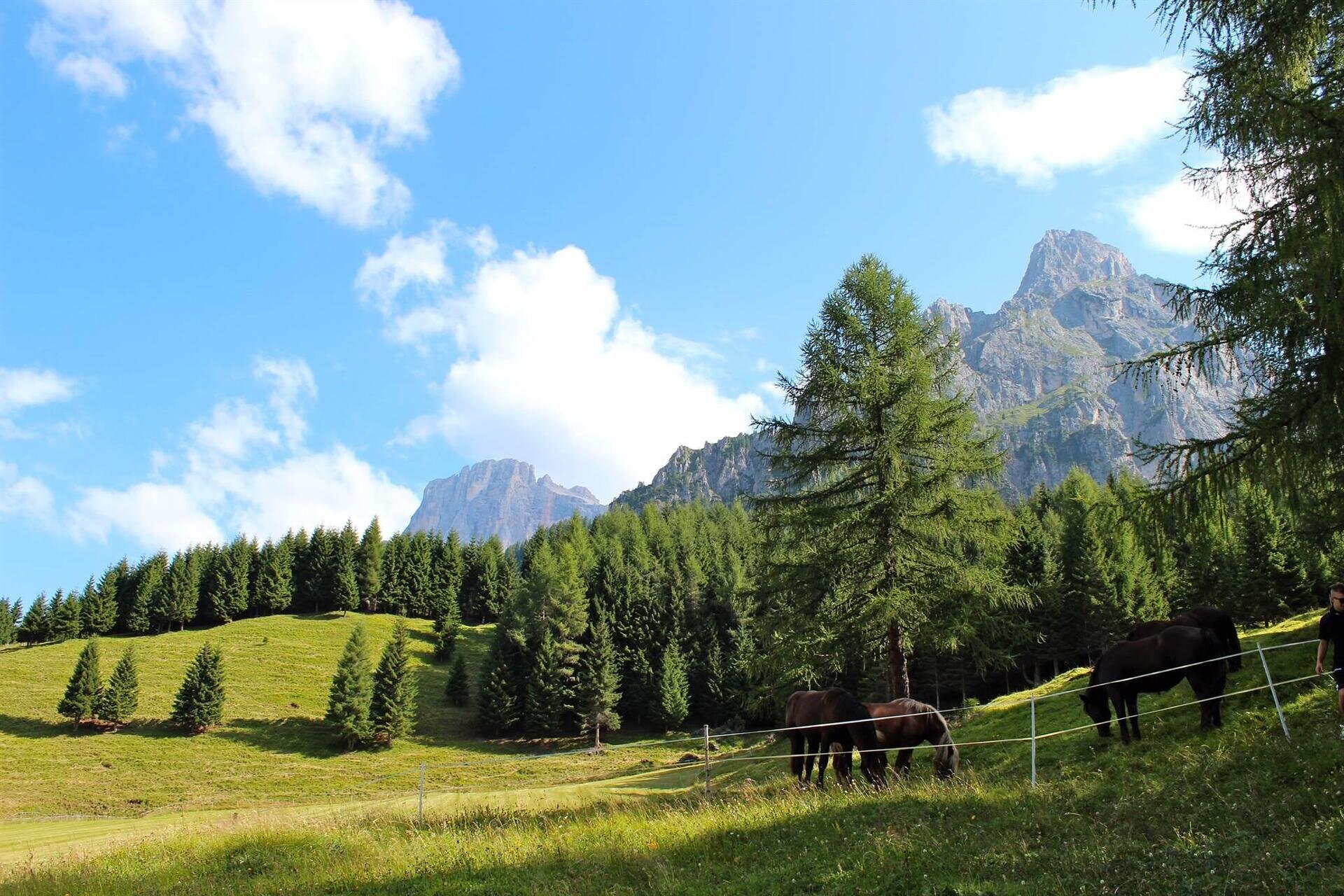 Pale di San Martino Primiero Trentino Hotel MIrabe