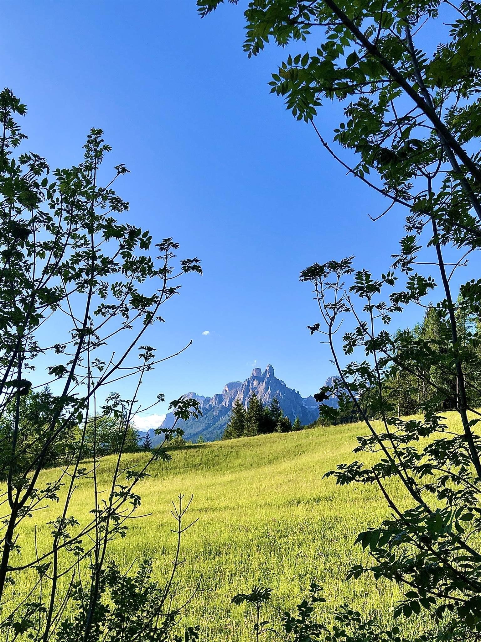 Pale di San Martino Trentino