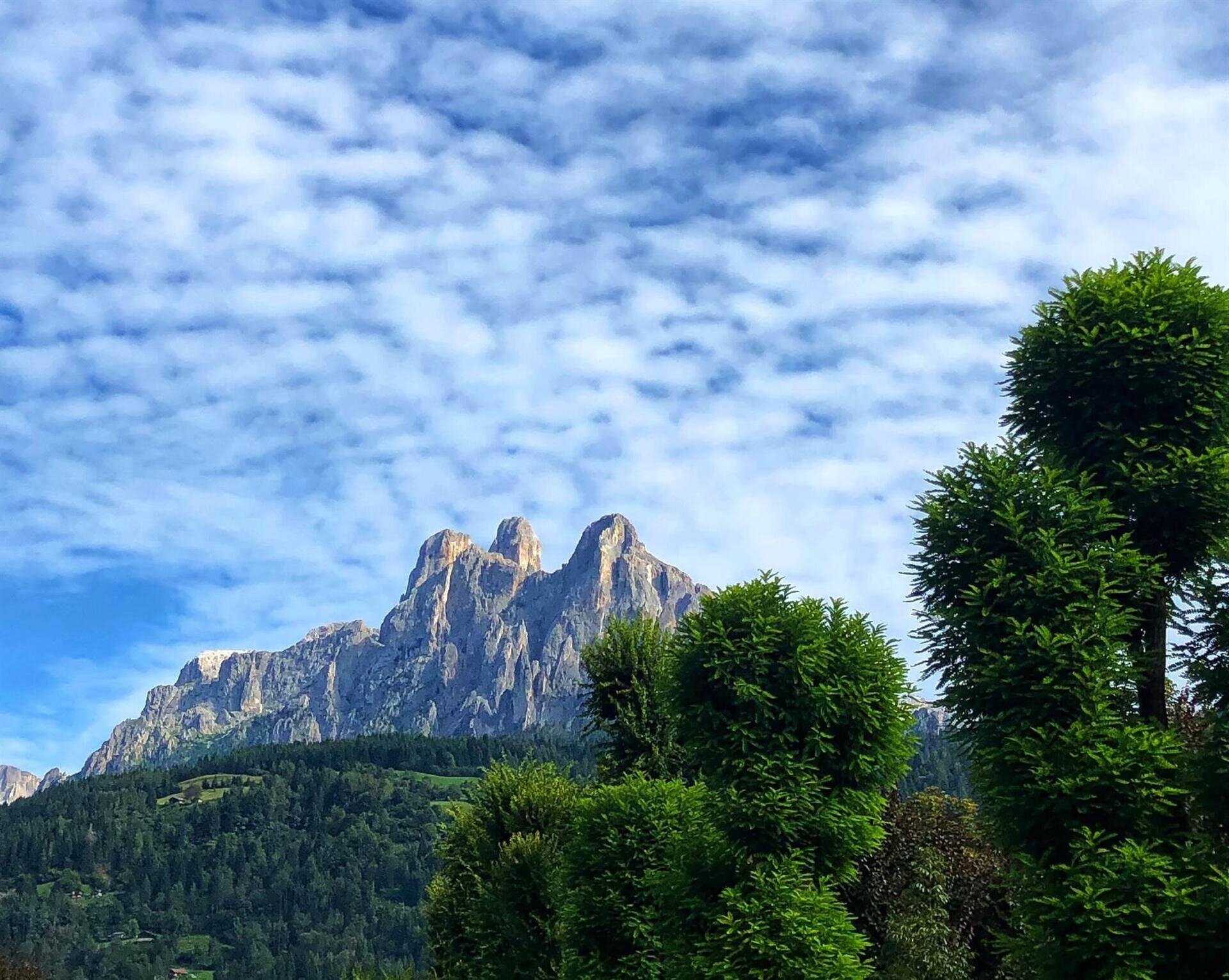 Pale di San Martino Hotel Mirabello Trentino