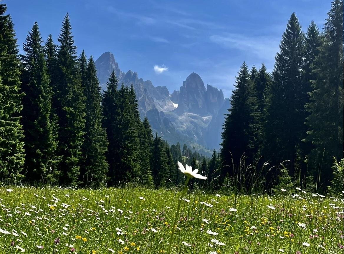 Offerte estate in Trentino