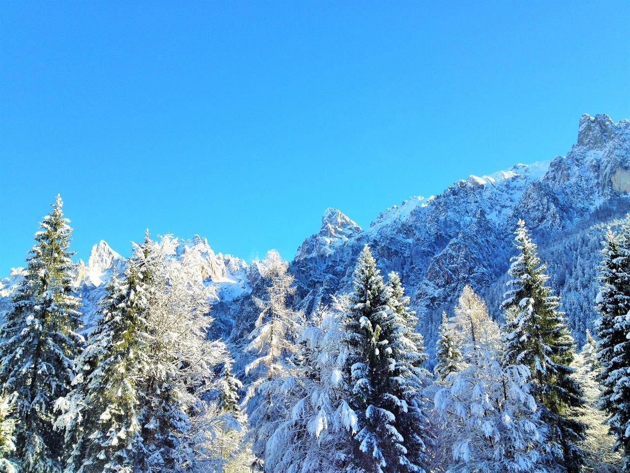 Neve in Trentino