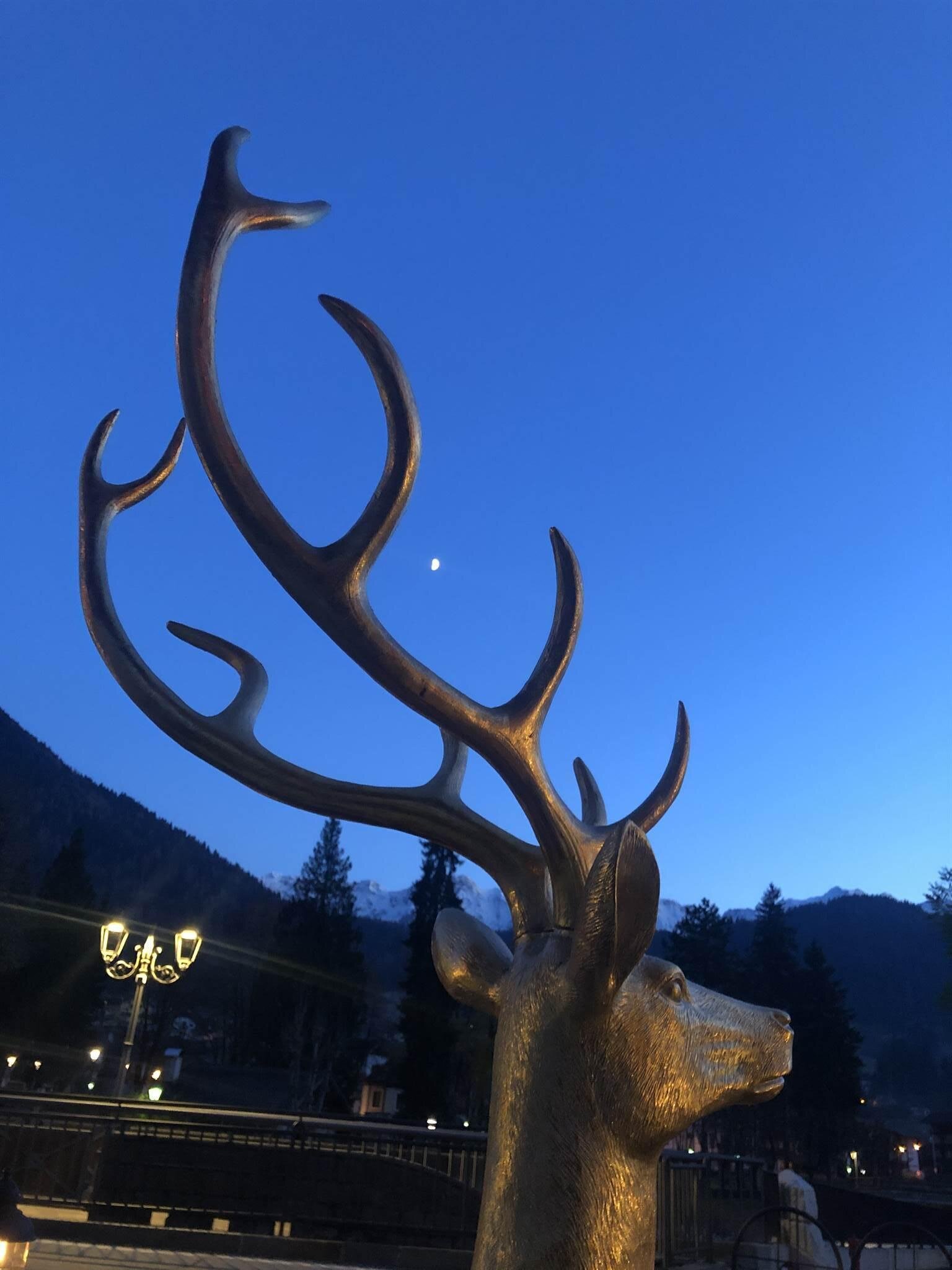 Cervo Hotel Mirabello