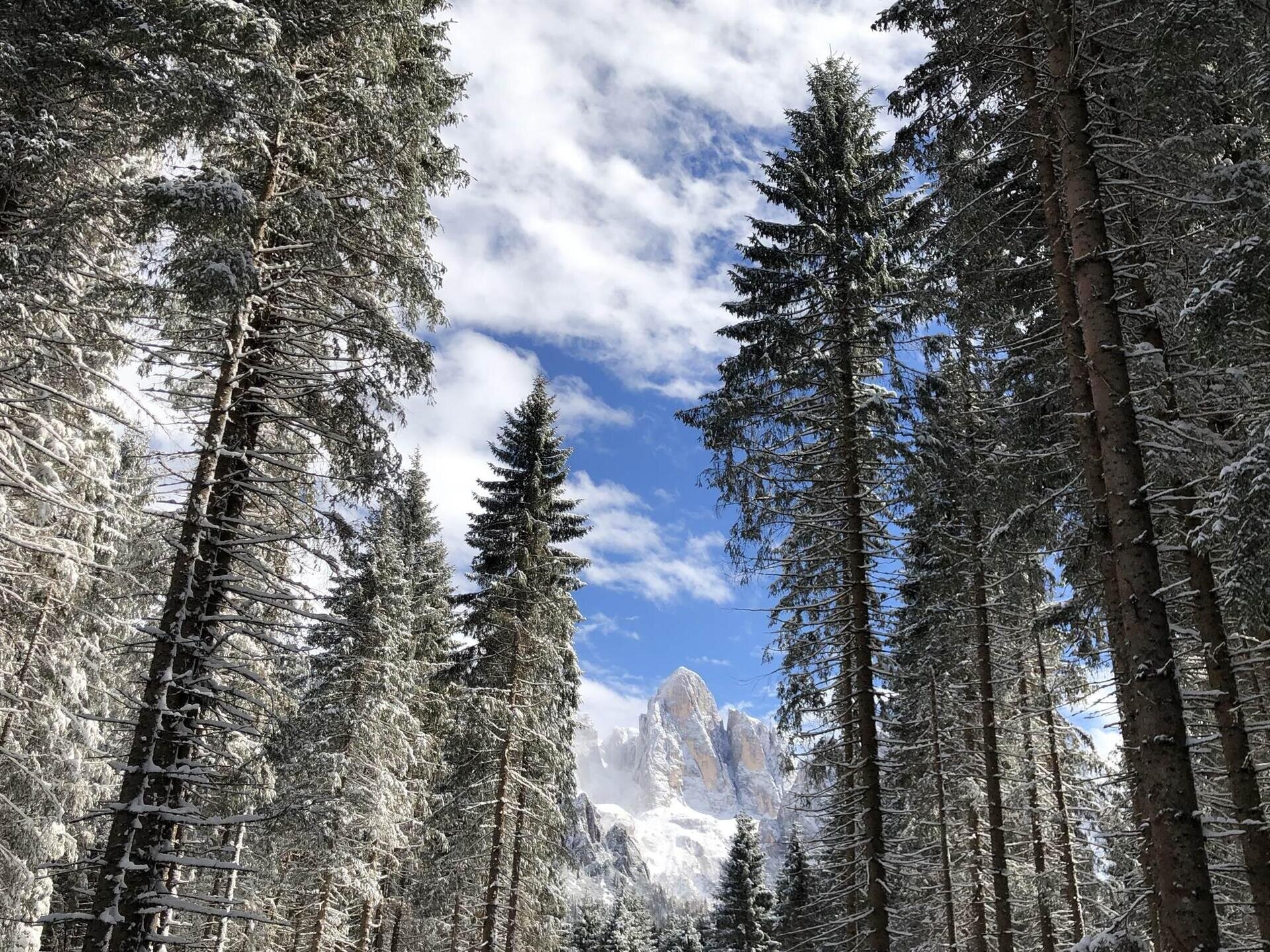 Pale Di San Martino Dolomiti Hotel Mirabello