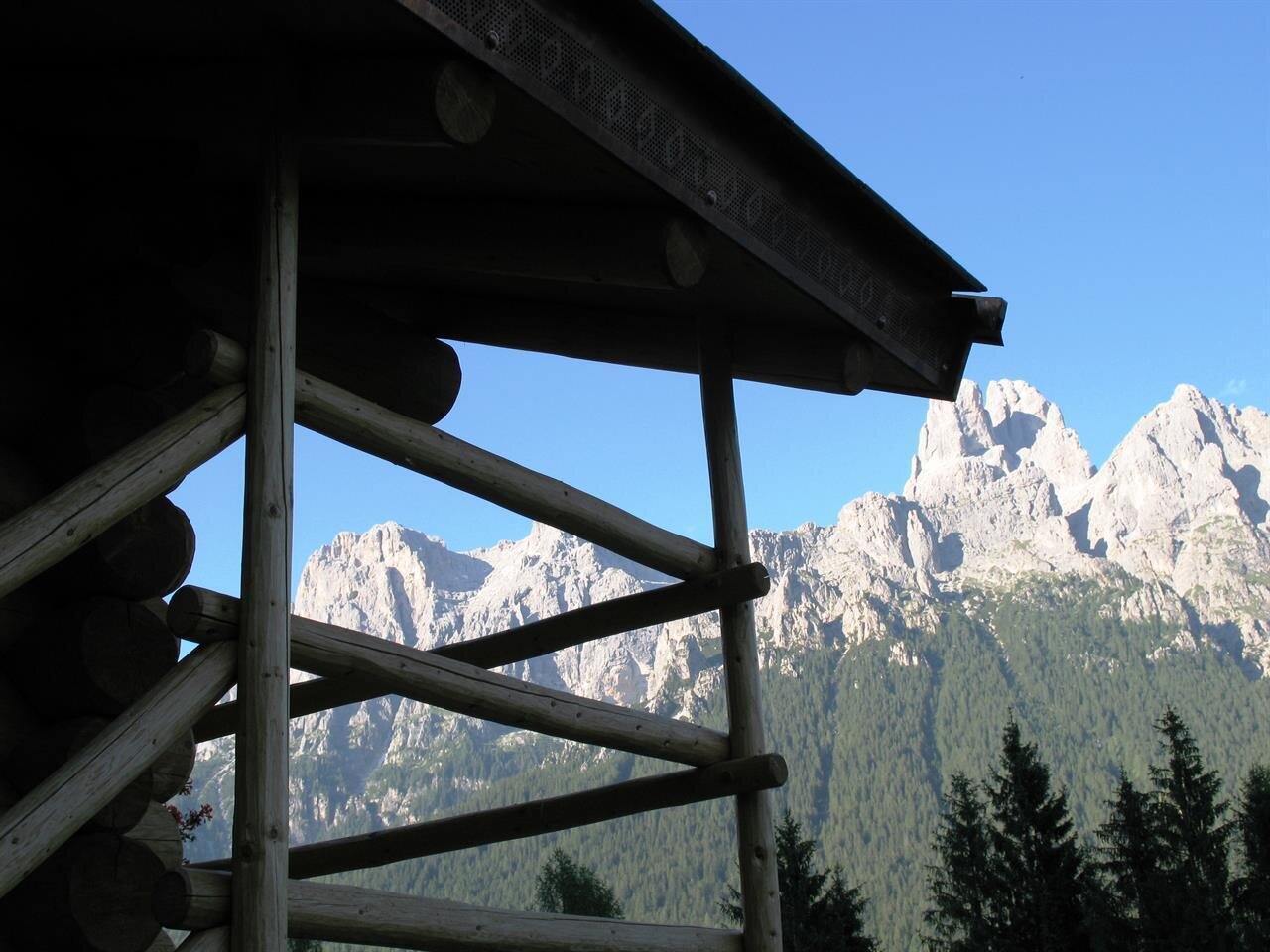 C 009 26 giugno 2011