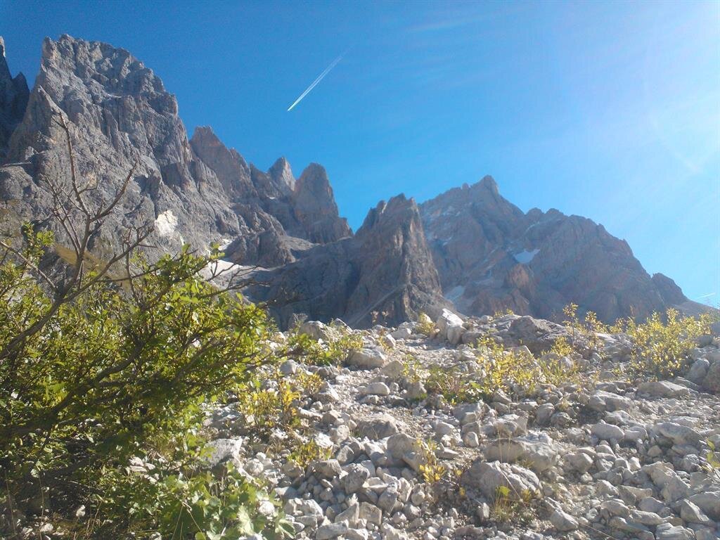 pale san martino