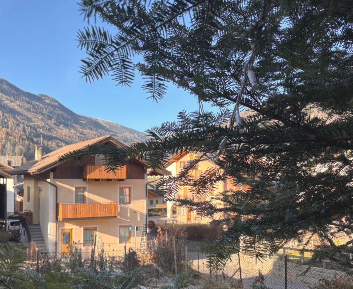 WhatsApp Image 2025-12-21 at 13.58.47