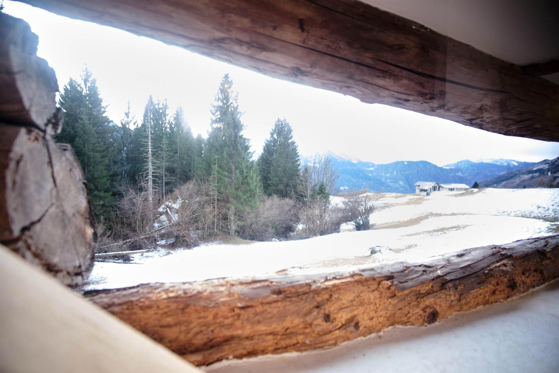 Images Trn 1 Da8f8e60 D0b9 4ee8 Bb74 B5796ad5945f 99 Image