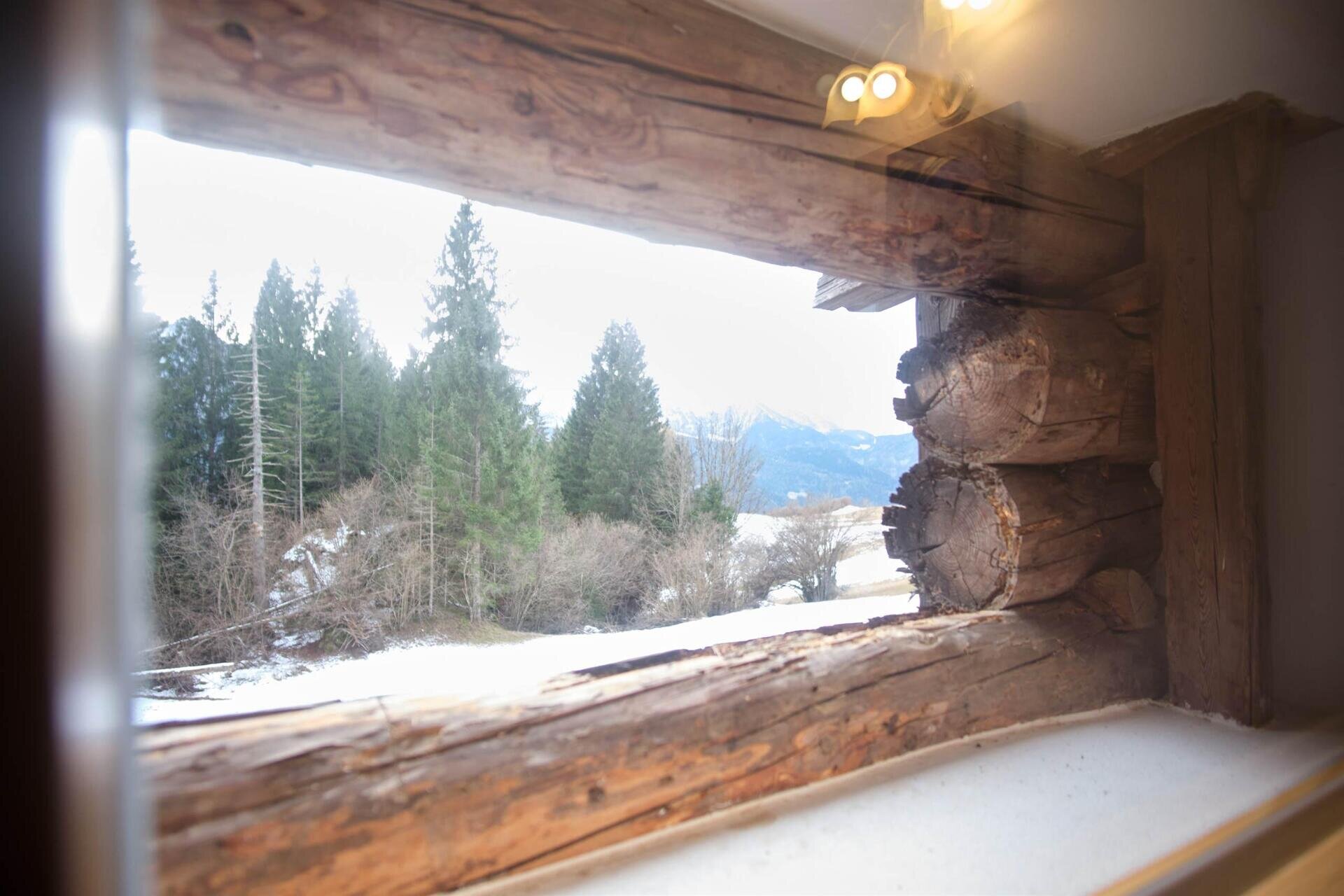 Images Trn 1 2f5e8a7d 8148 450b 8fe0 A9e58e307c01 99 Image