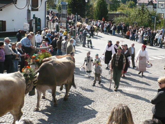 Desmontegada nel Primiero