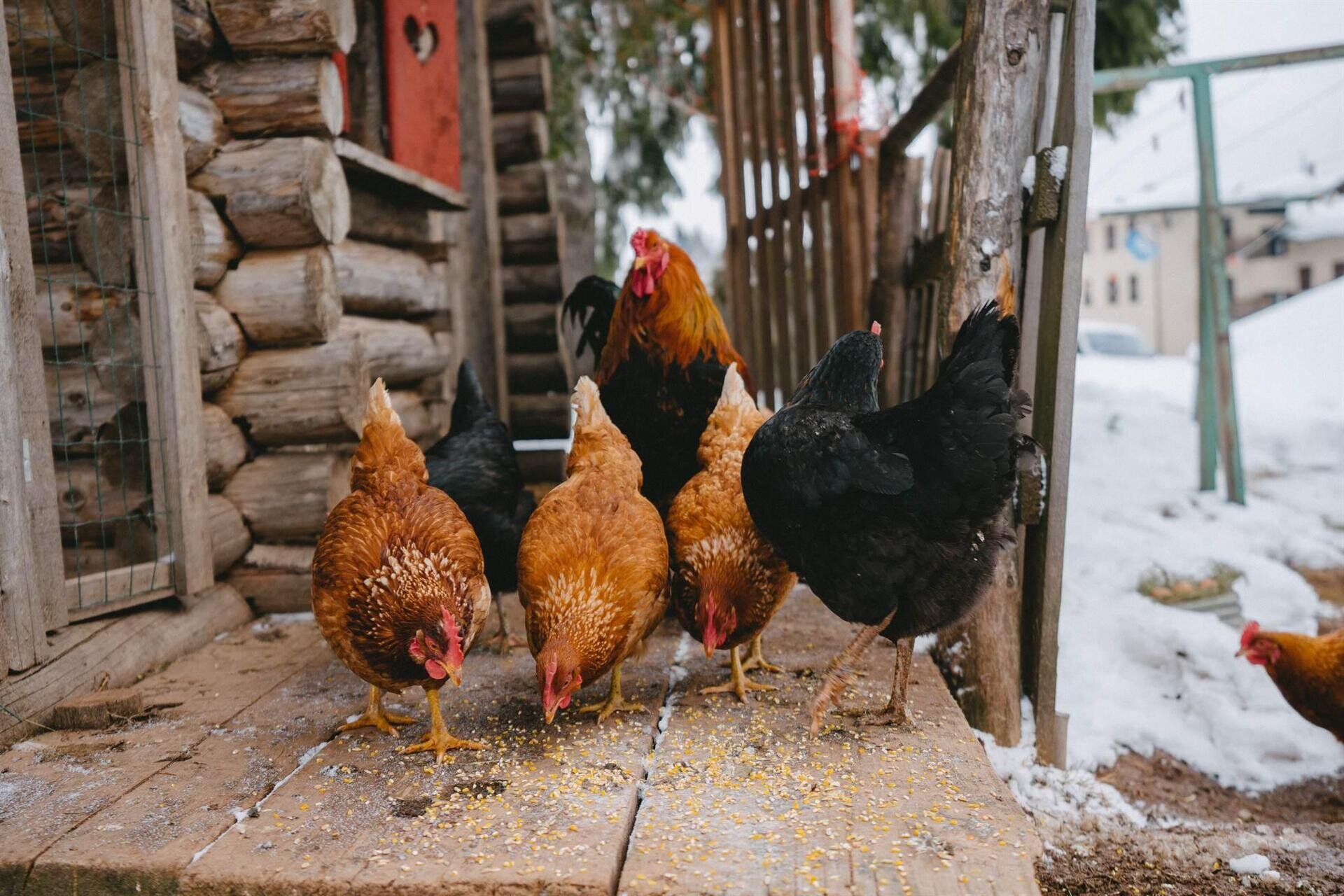 2020-03-04-Shooting-Rifugio-Cereda-100