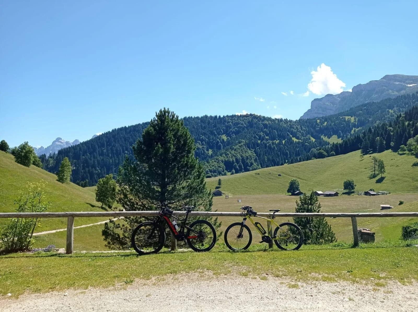 Images Trn 1 Da8457c0 293d 431c B5df 40e6864cc269 99 Image