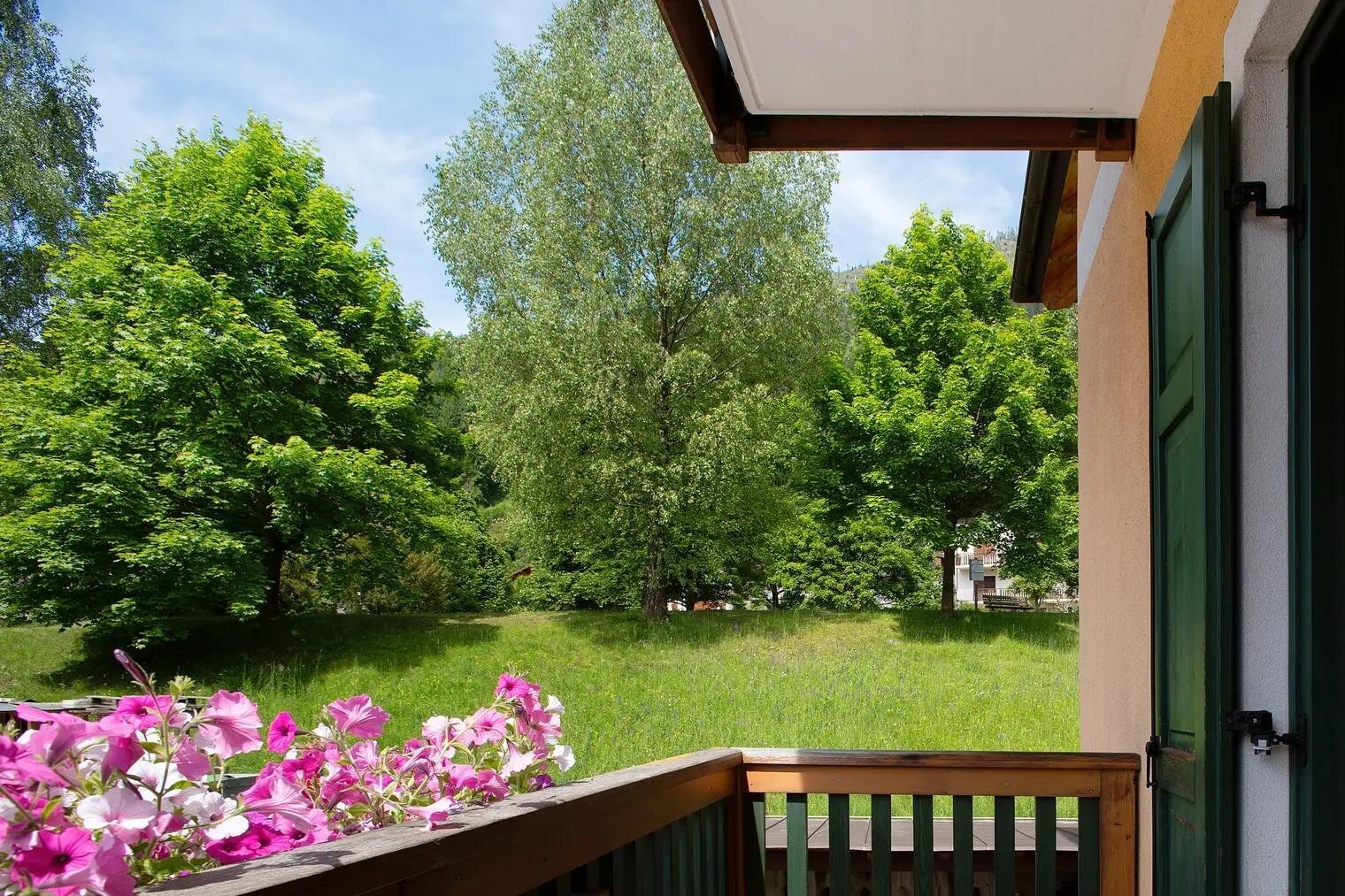 Images Trn 1 A395b78a 5787 486e 8acf 54b0b1ef0500 99 Image