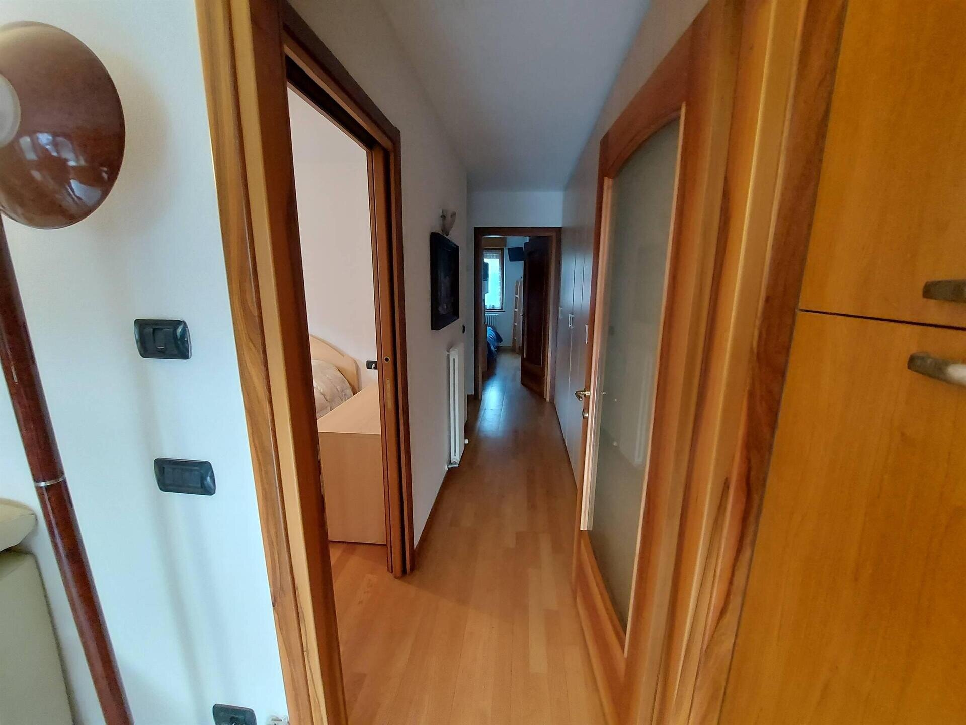 Images Trn 1 464e6486 373b 4135 997e 3cedb02d49cc 99 Image