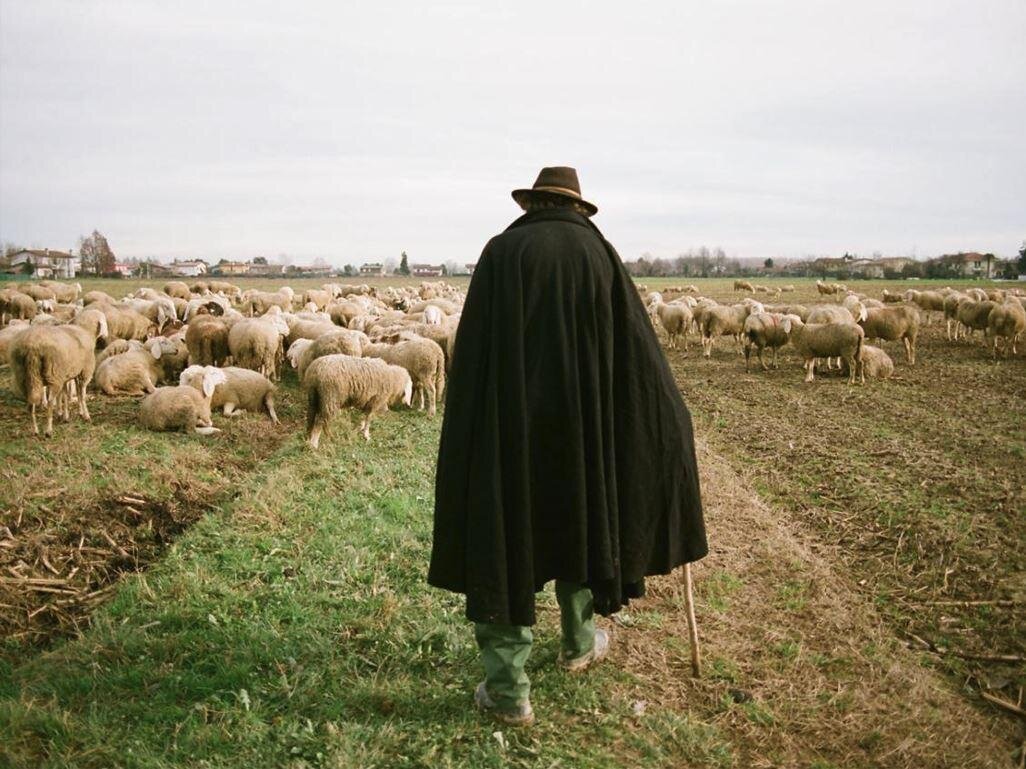 "Cammina Cammina. Volti di pastori tra il Lagorai e la pianura"