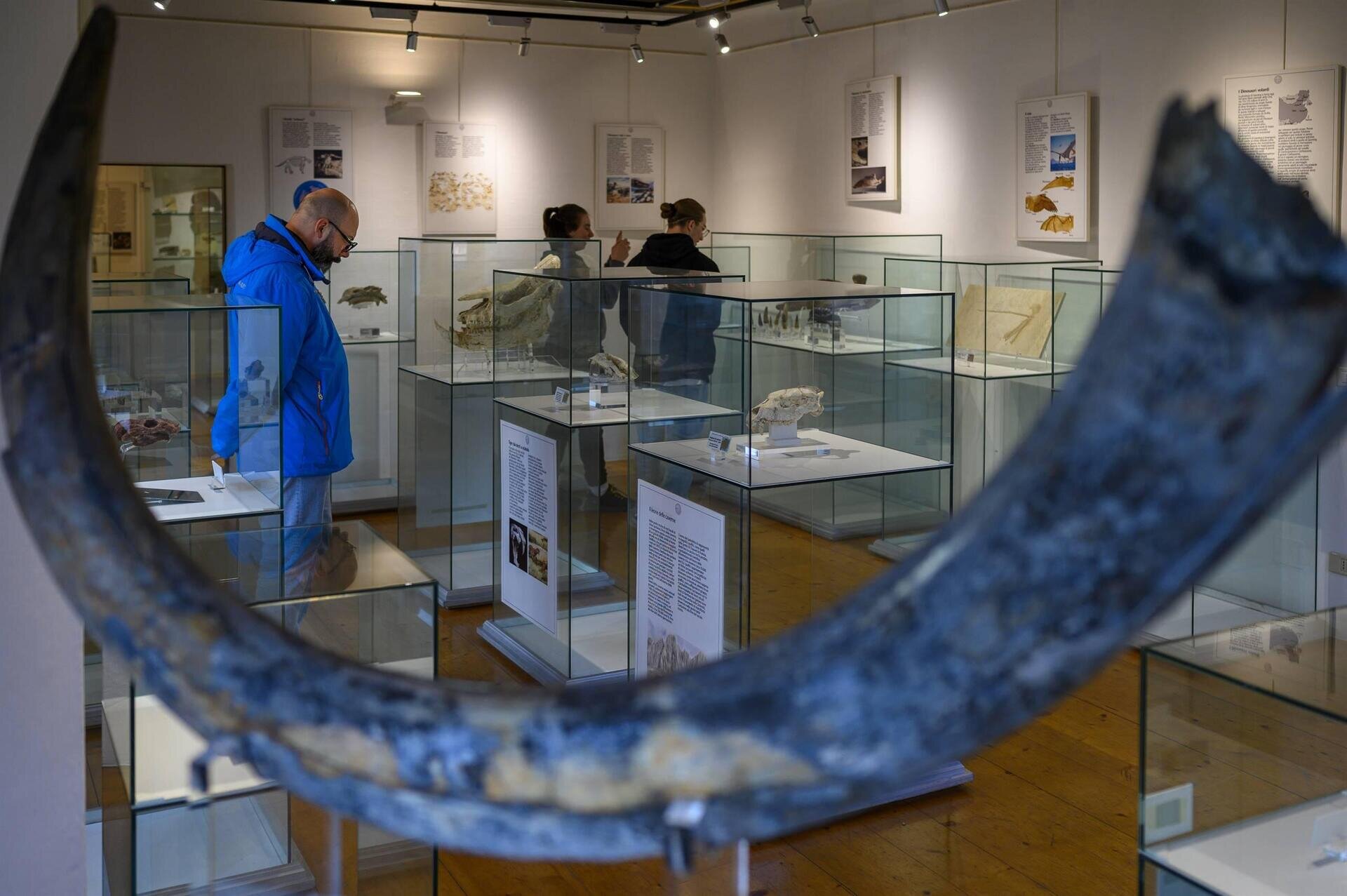 Accompagnamento a Palazzo delle Miniere