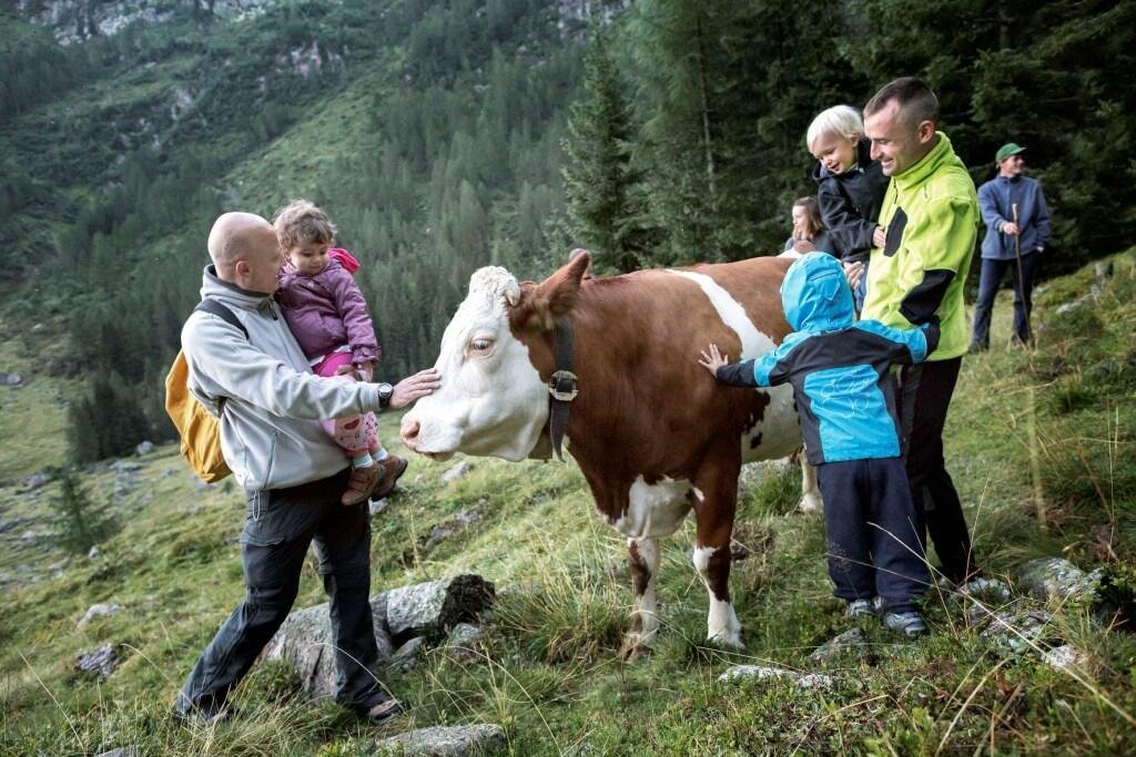 Aperilibro: Campigoli - Storie e cultura dell'alpeggio in Primiero
