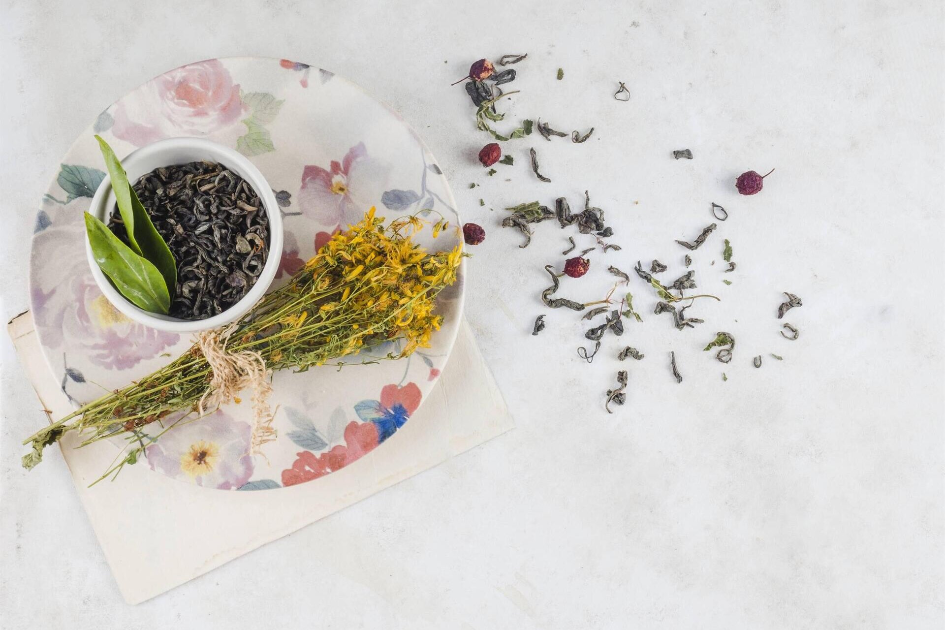 Arte & Botanica