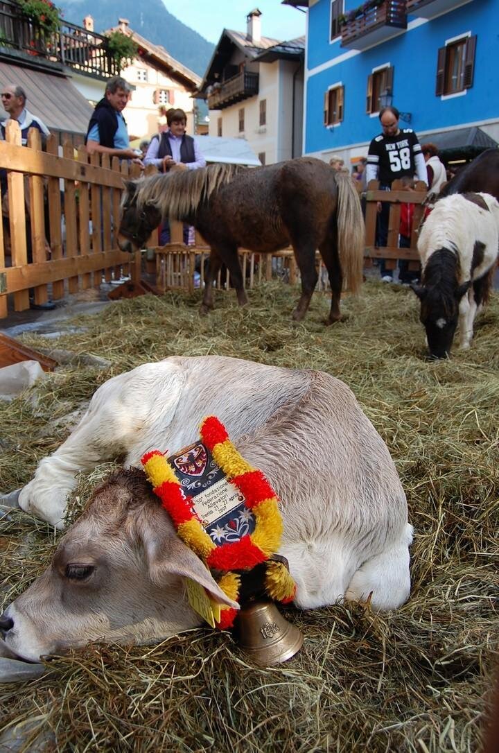 Atmosfere e Tradizioni