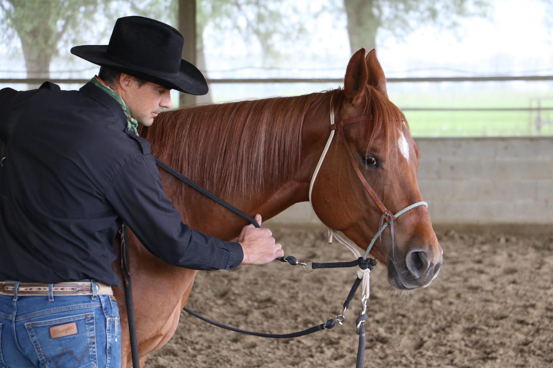 Clinic Gratuito di Osteopatia