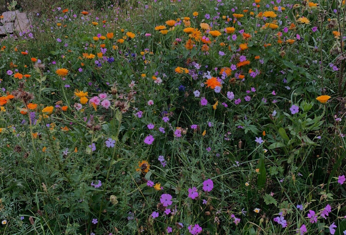 Essere in Natura