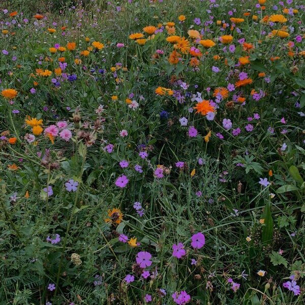 Essere in Natura