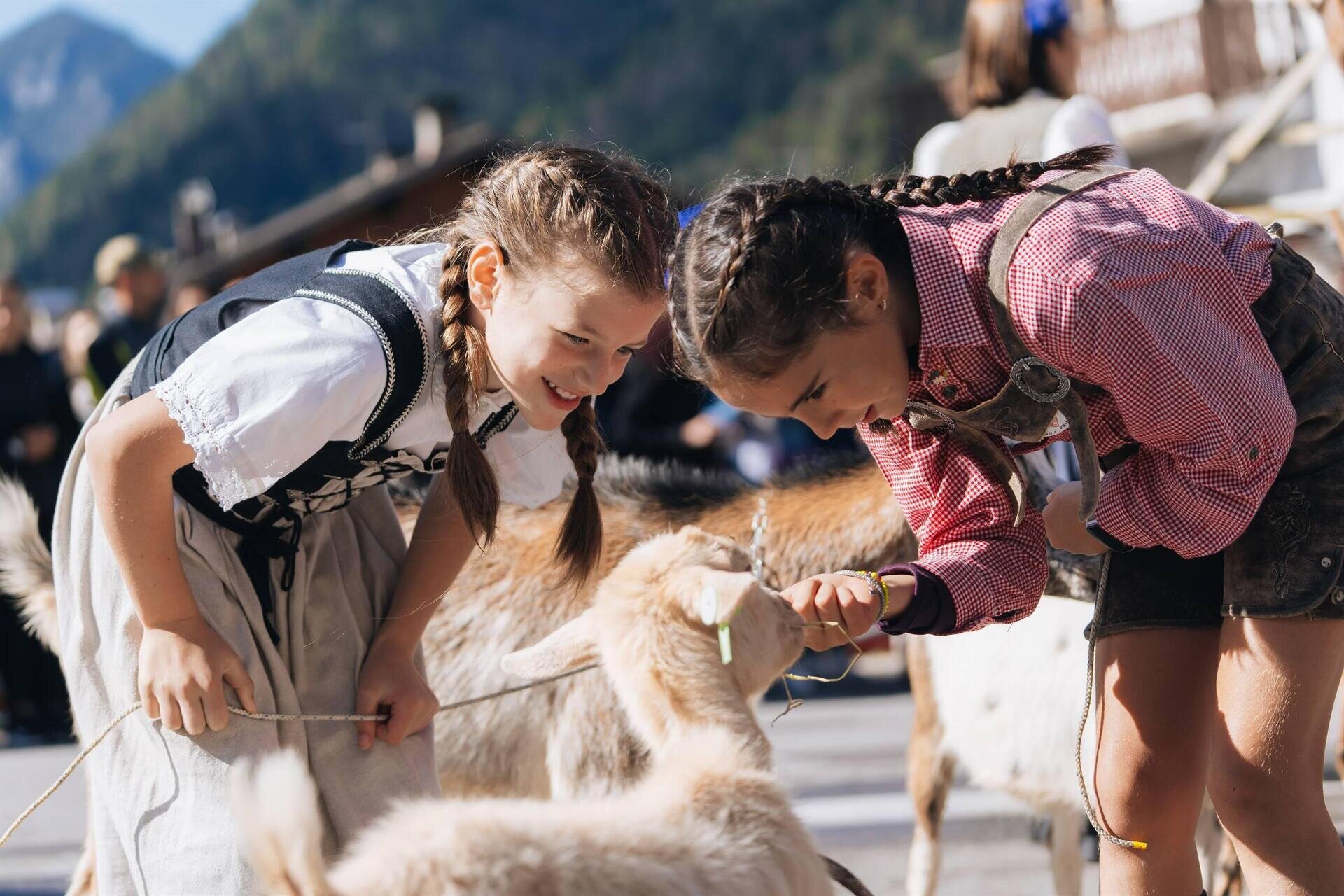 Gran Festa del Desmontegar: Atmosfere e Tradizioni Contadine