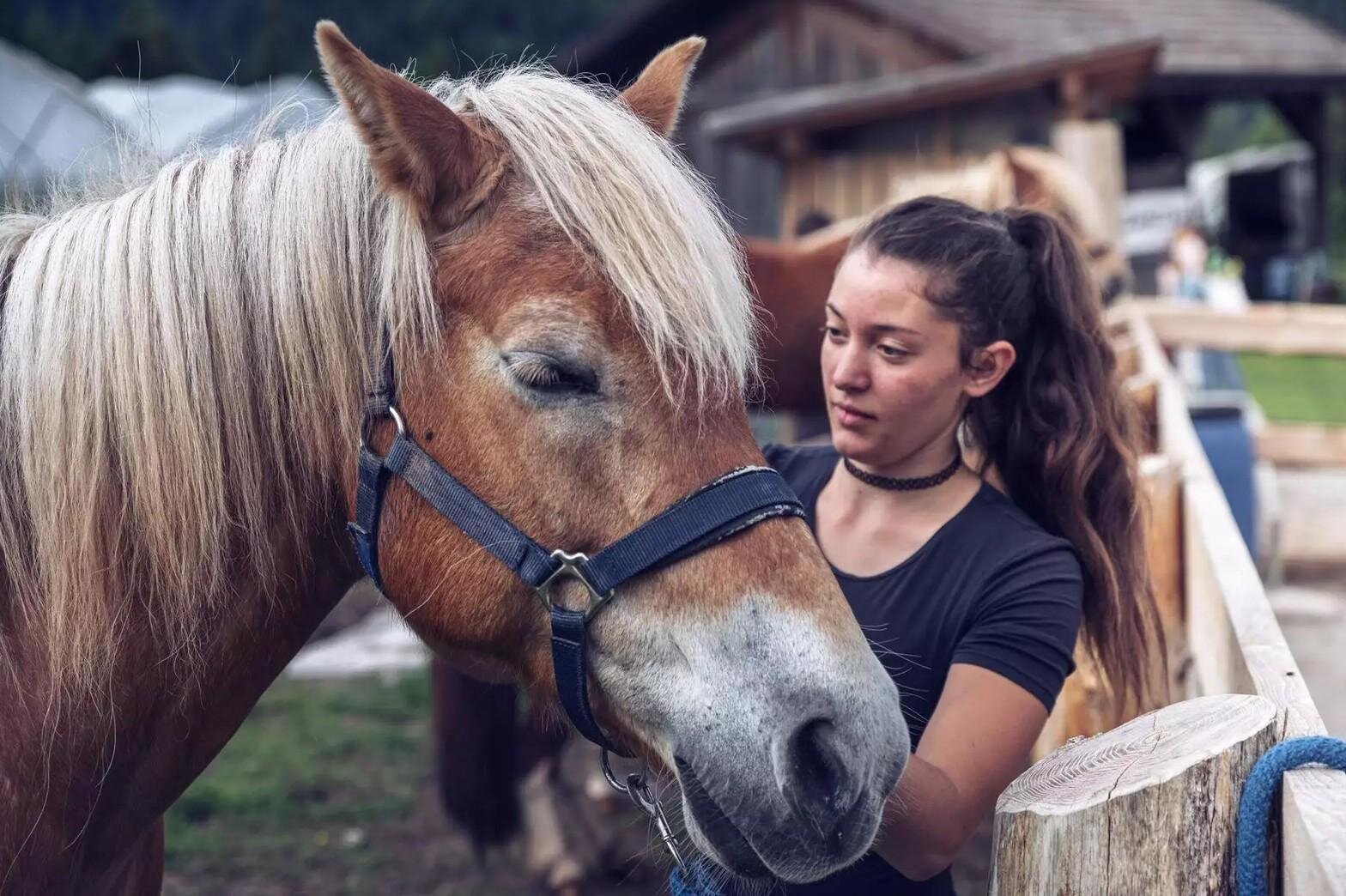 Il mio amico Pony